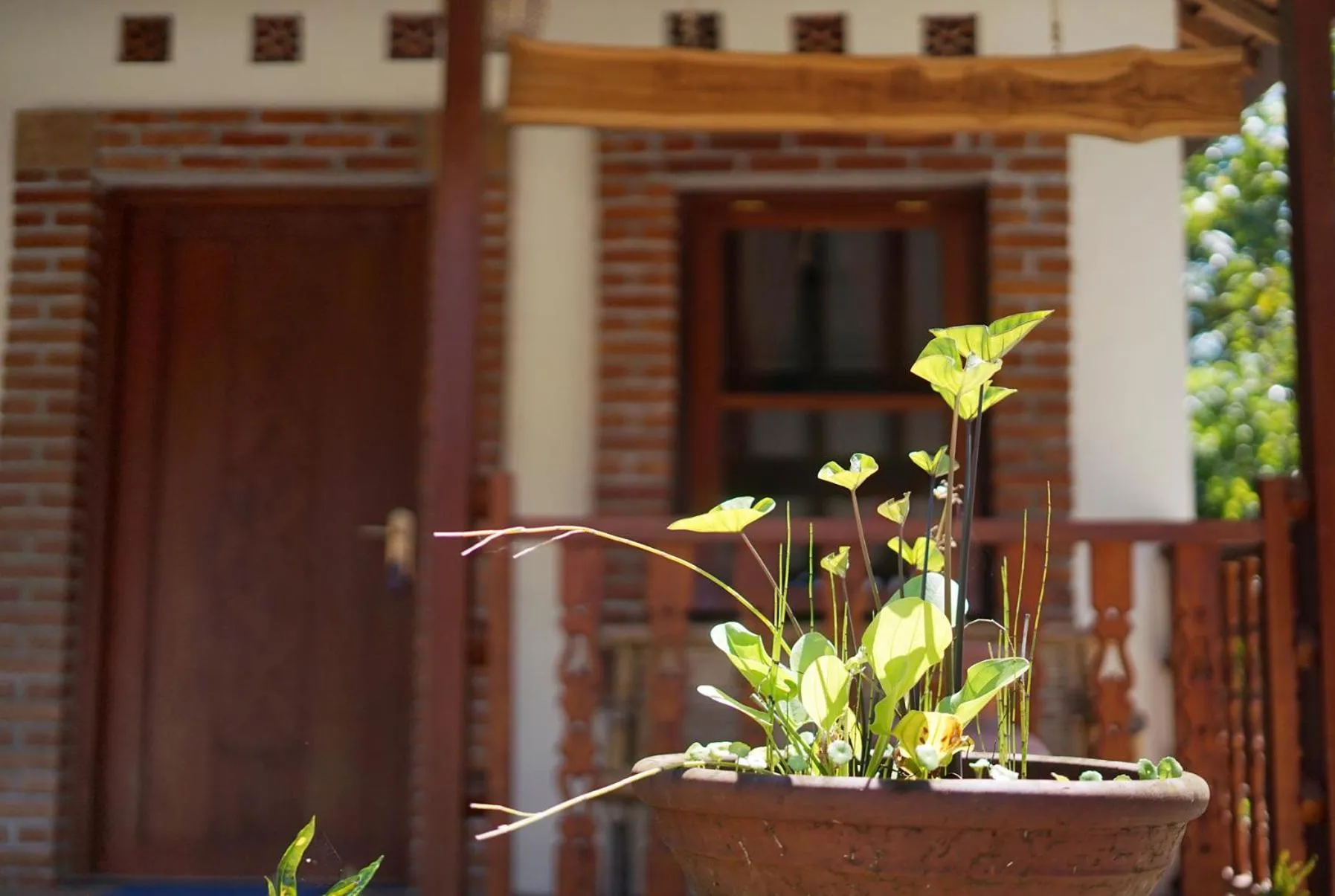 Day in Penginapan Homestay Mudiyono Syari'ah