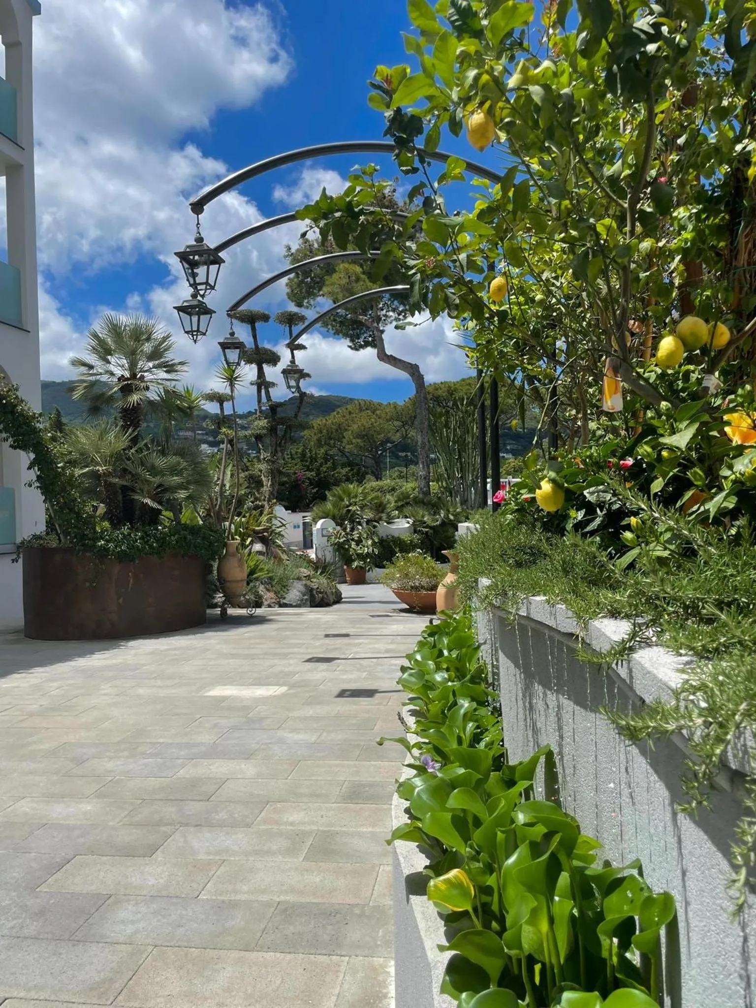 Garden in Hermitage Resort & Thermal Spa