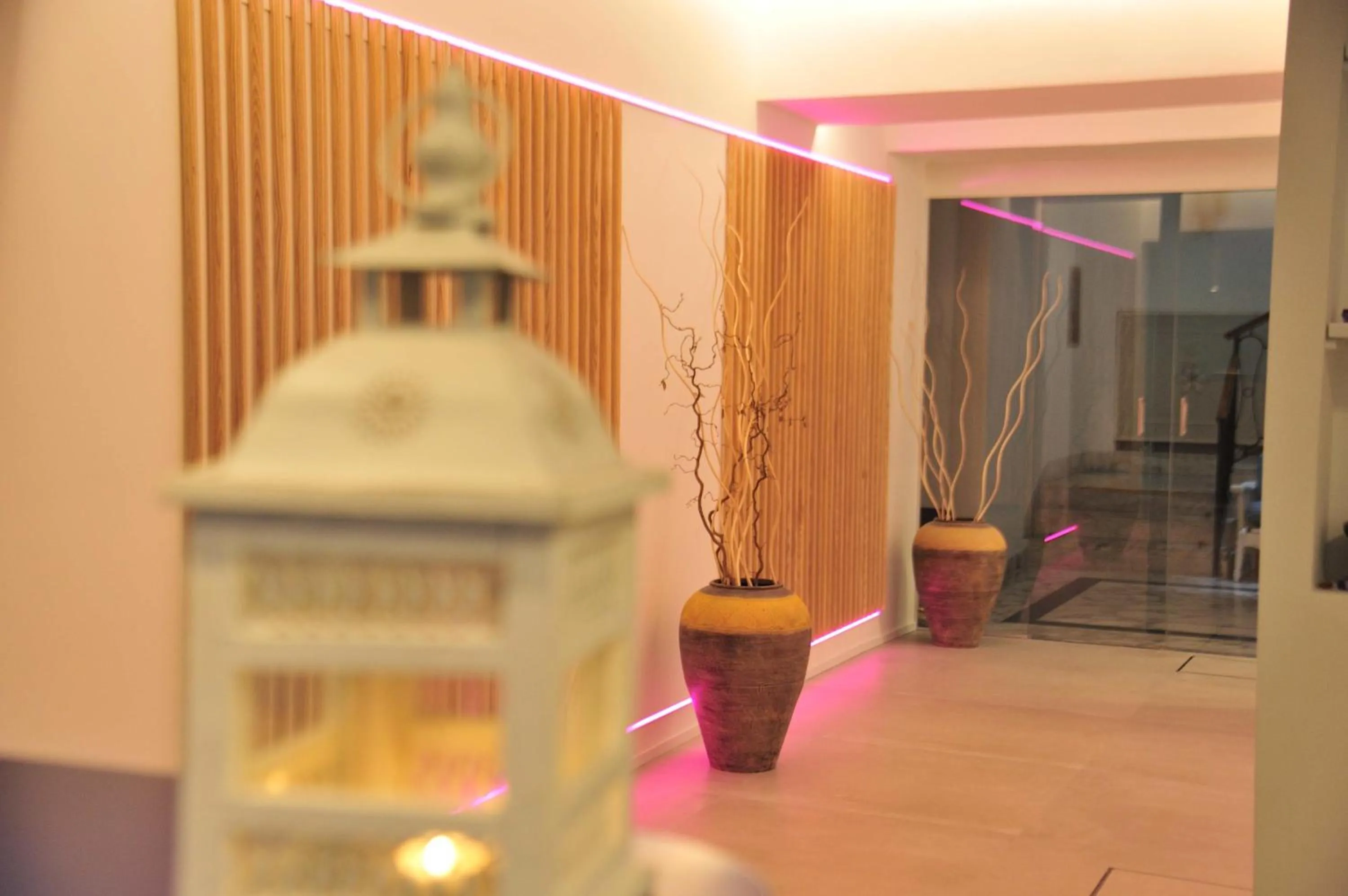 Hot Spring Bath in Hermitage Resort & Thermal Spa