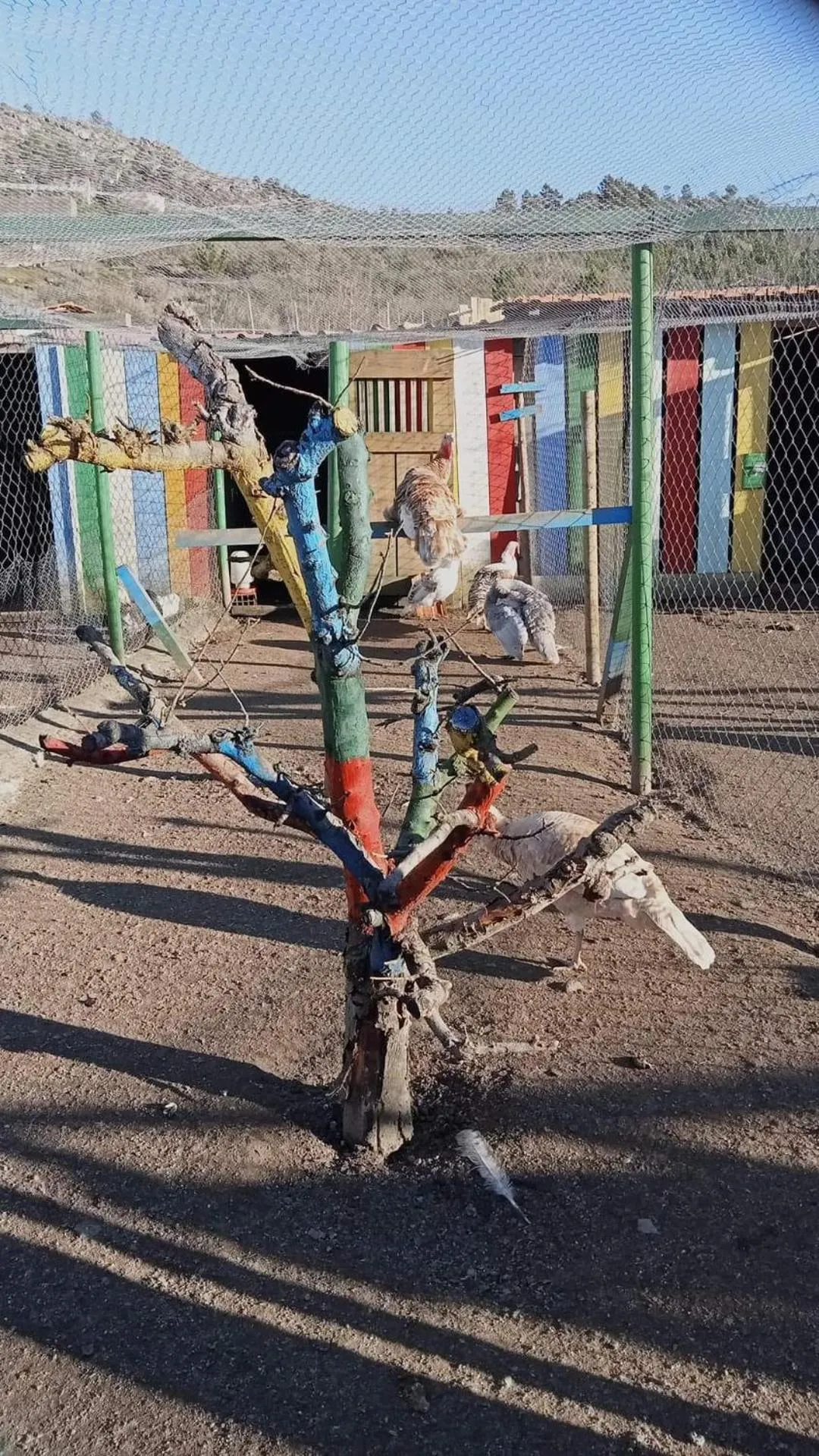 Day in Gojim Casa Rural