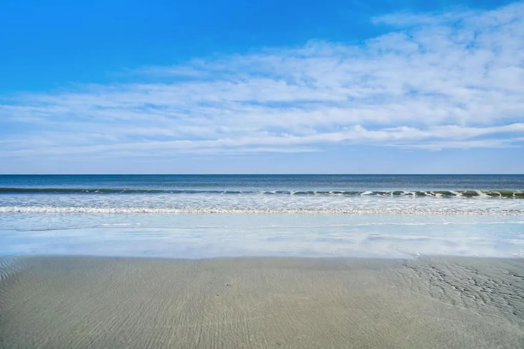 Natural landscape in Beautiful Blue Ocean Condo