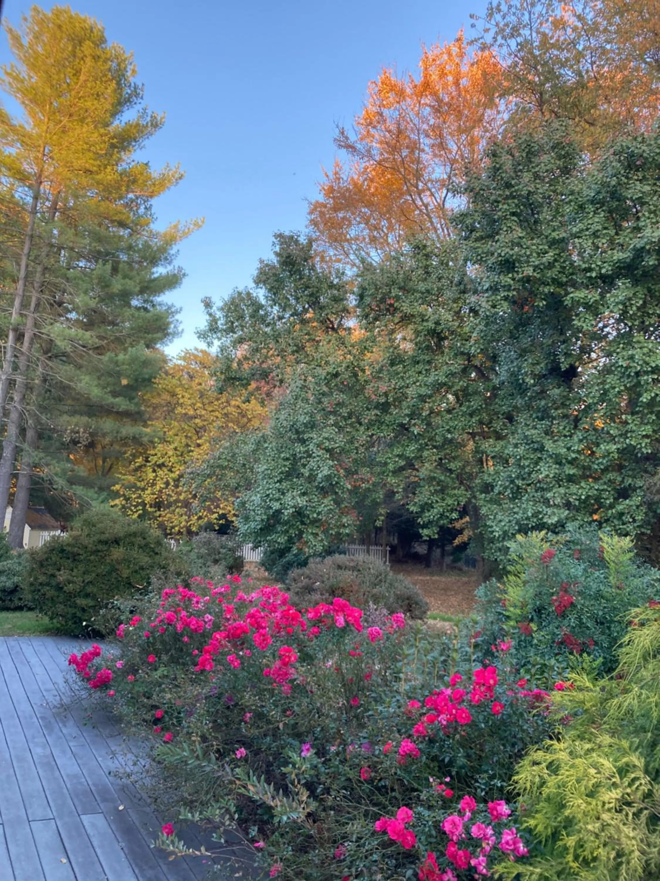 Garden in Purcellville Home