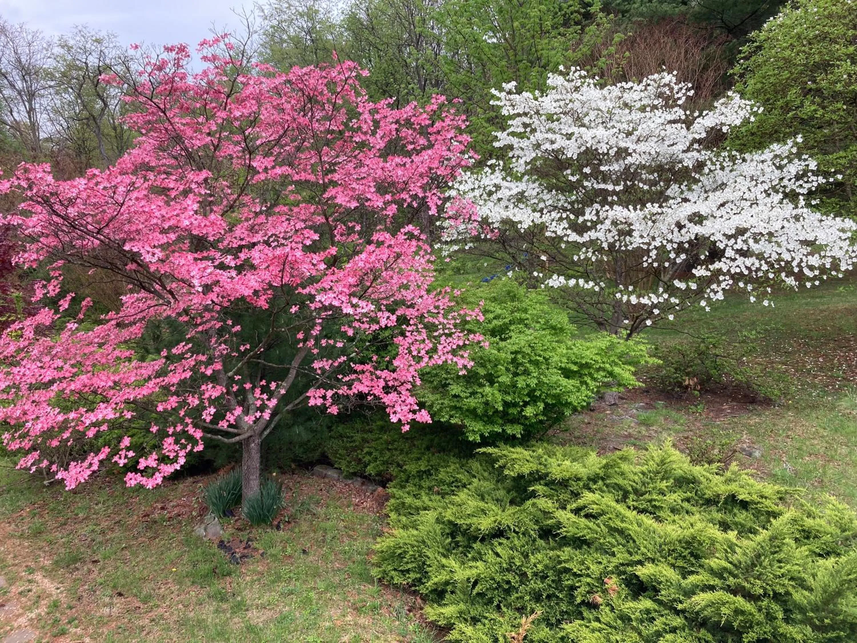 Spring in Purcellville Home