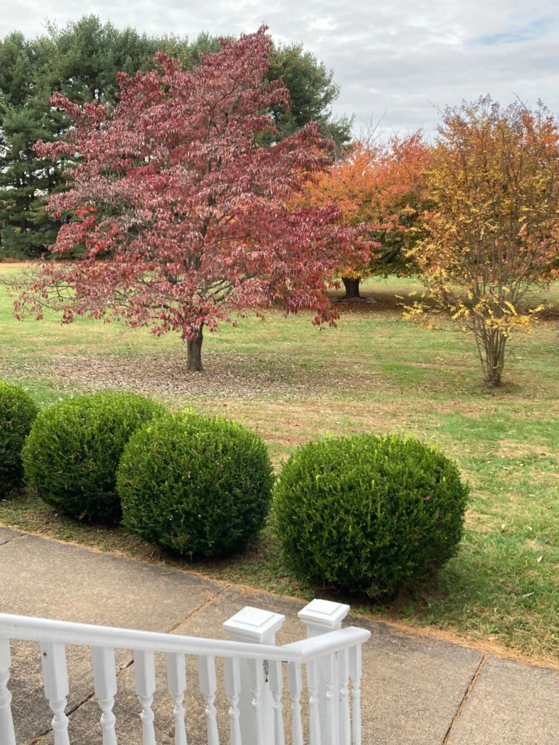 Facade/entrance in Purcellville Home