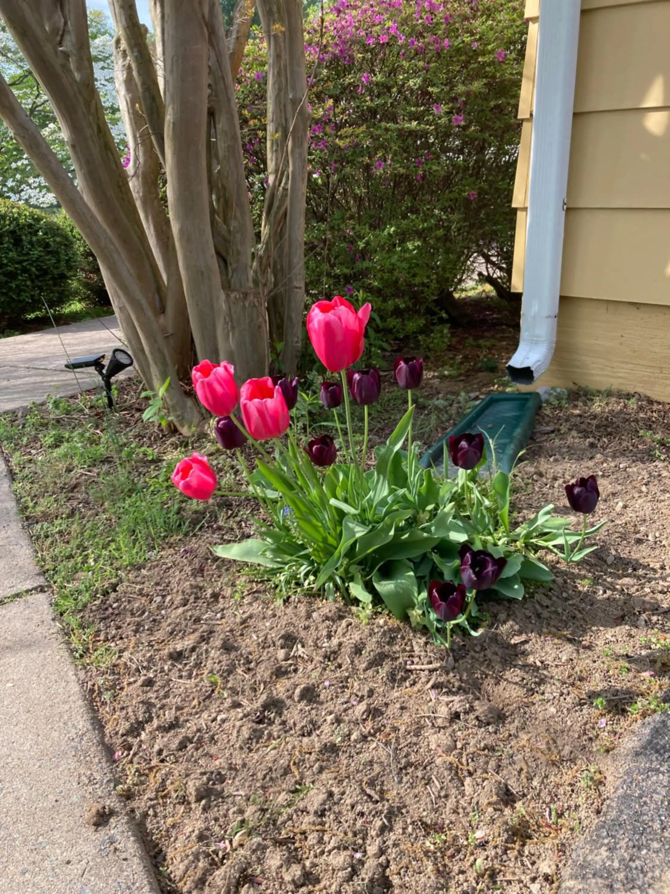 Garden in Purcellville Home