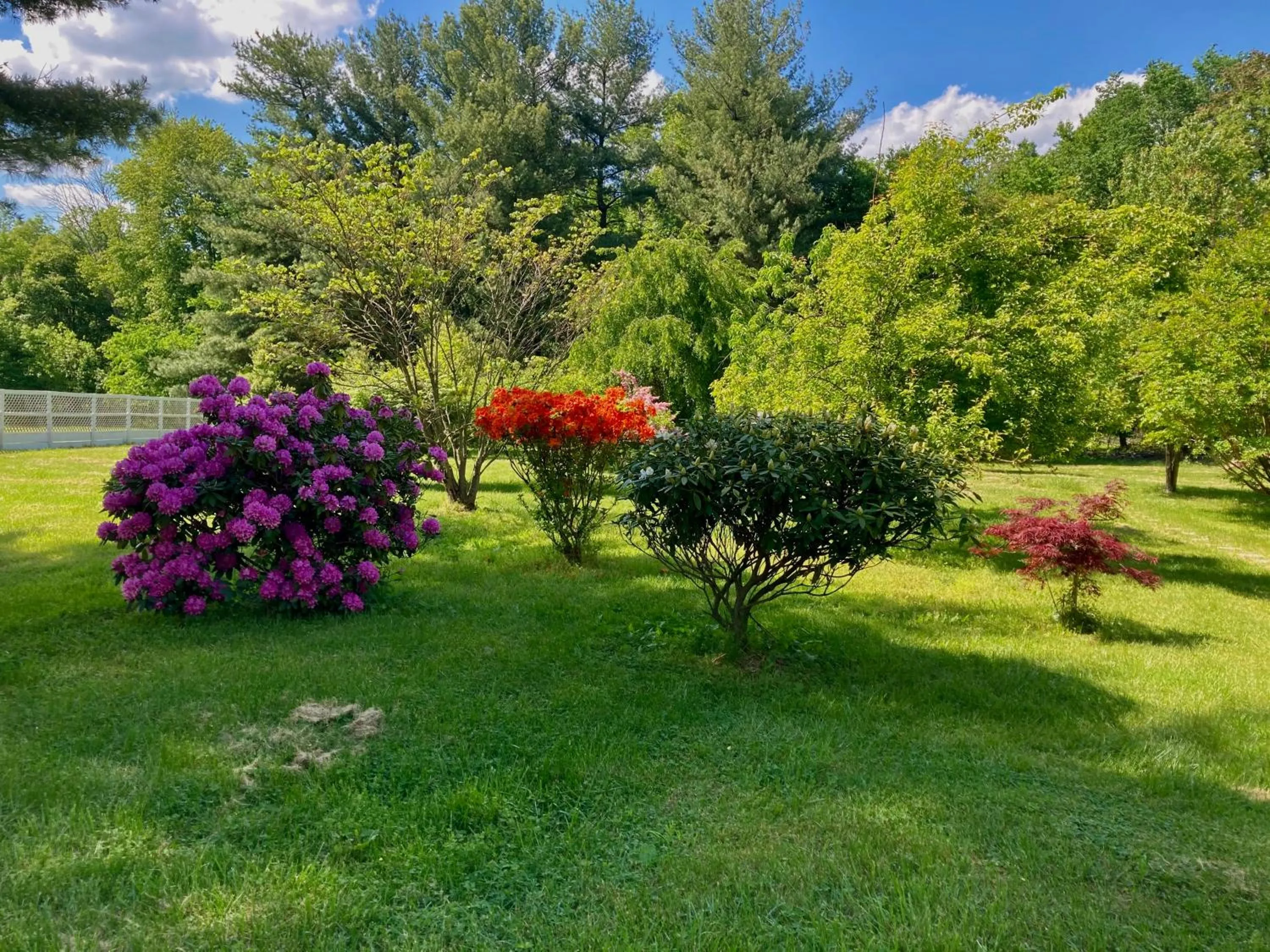 Garden view in Purcellville Home