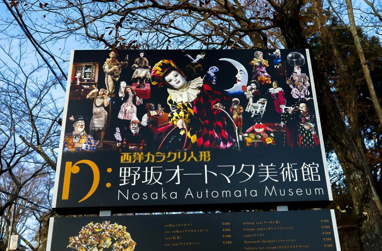 Activities in 伊豆ワーケーション Izu Workation