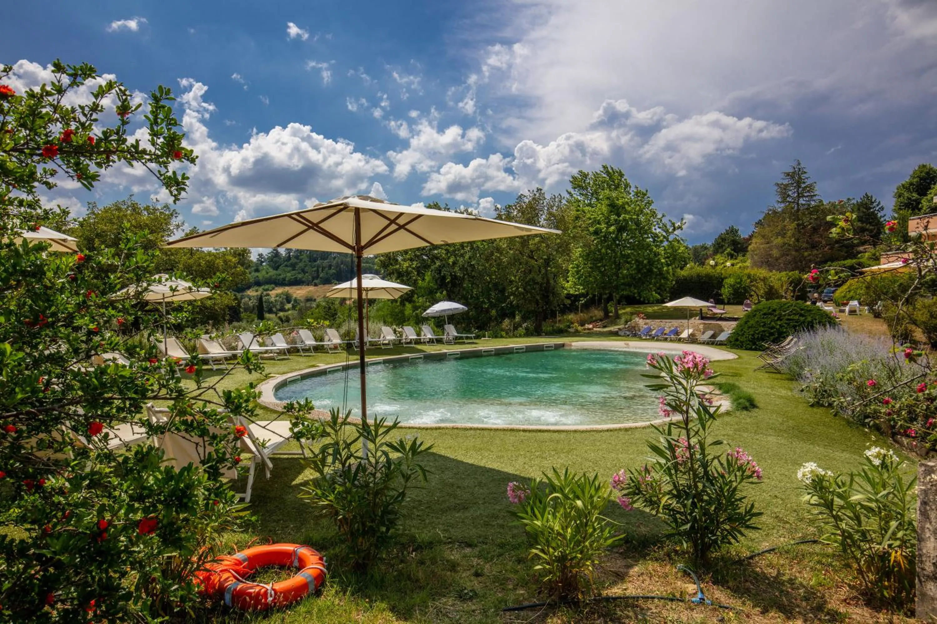 Garden view, Swimming Pool in Demidoff Country Resort