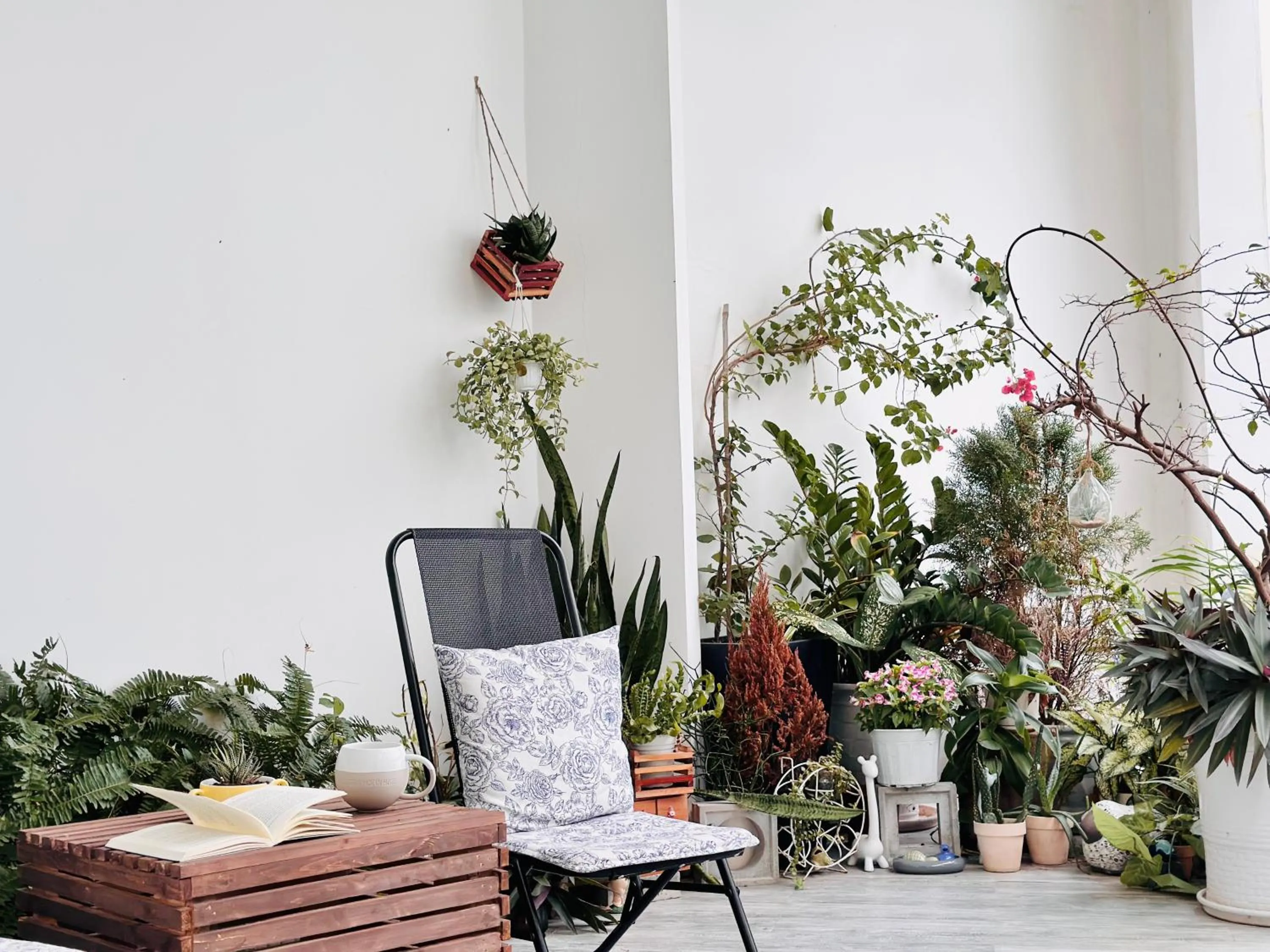 Garden in Cloudy Homestay Hoi An