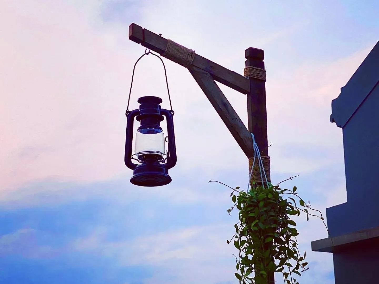 View (from property/room) in Cloudy Homestay Hoi An