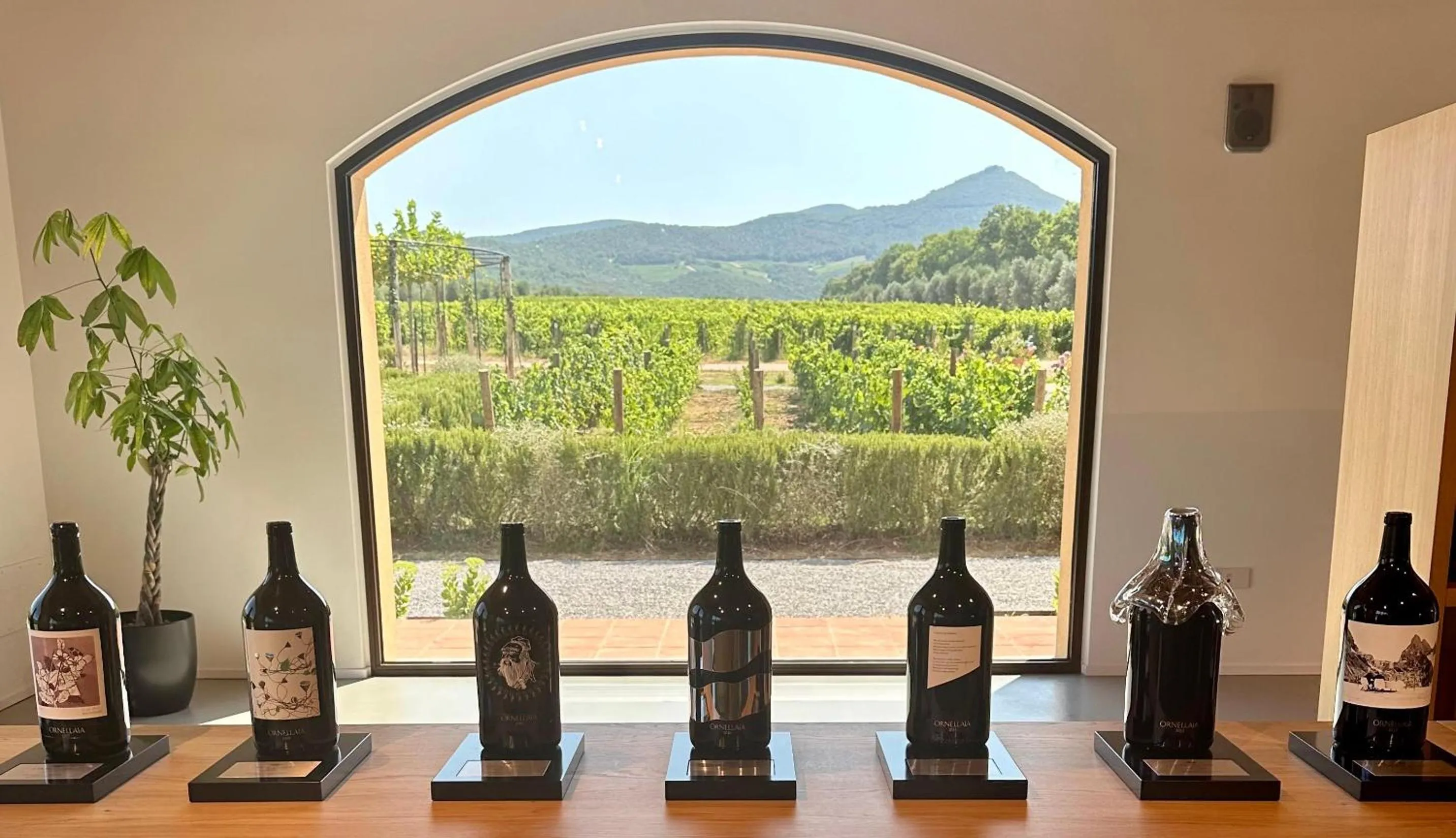 Activities in Cala del Porto Punta Ala - Preferred Hotels