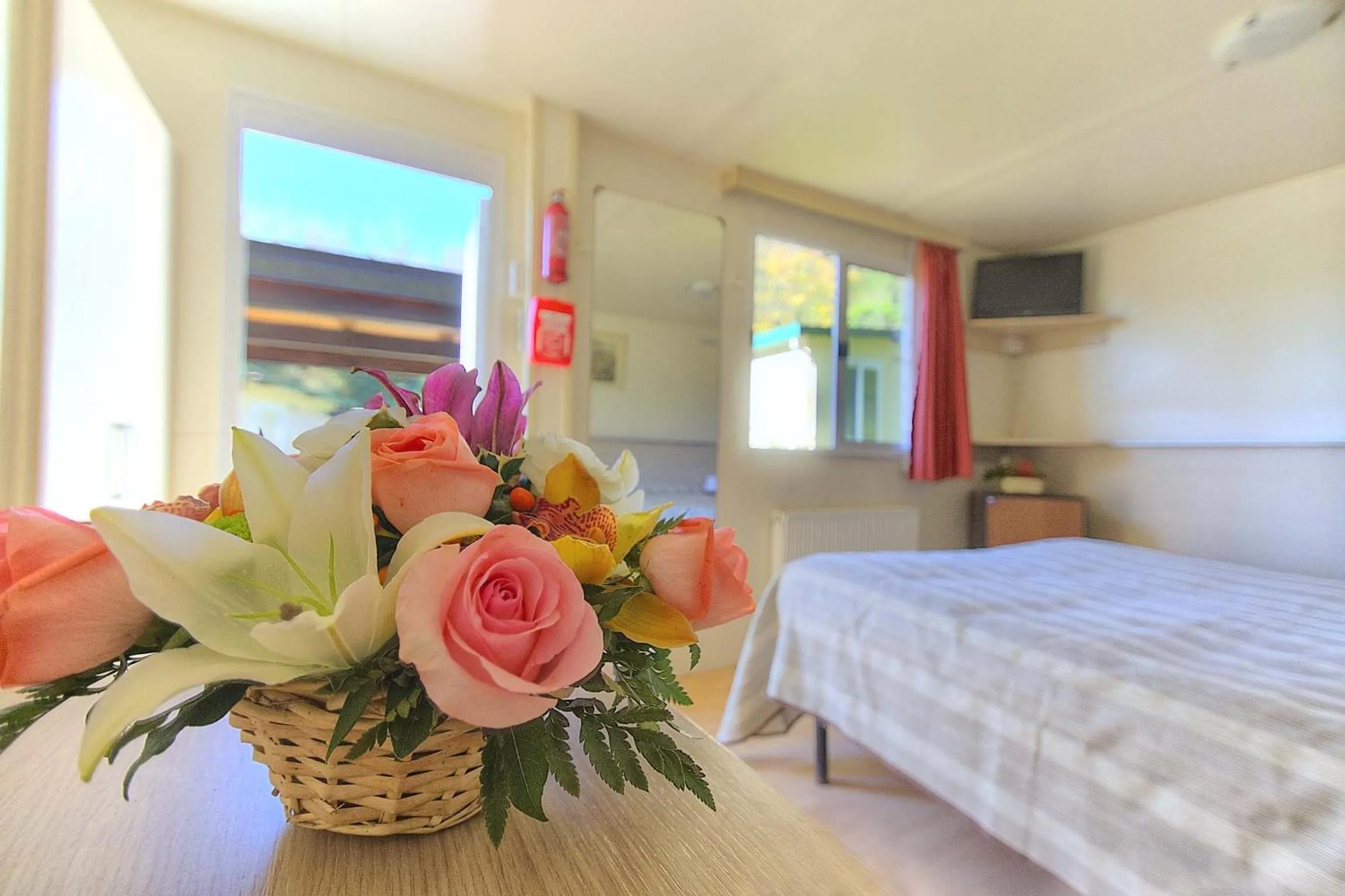 Day, Bed in Flaminio Village Bungalow Park