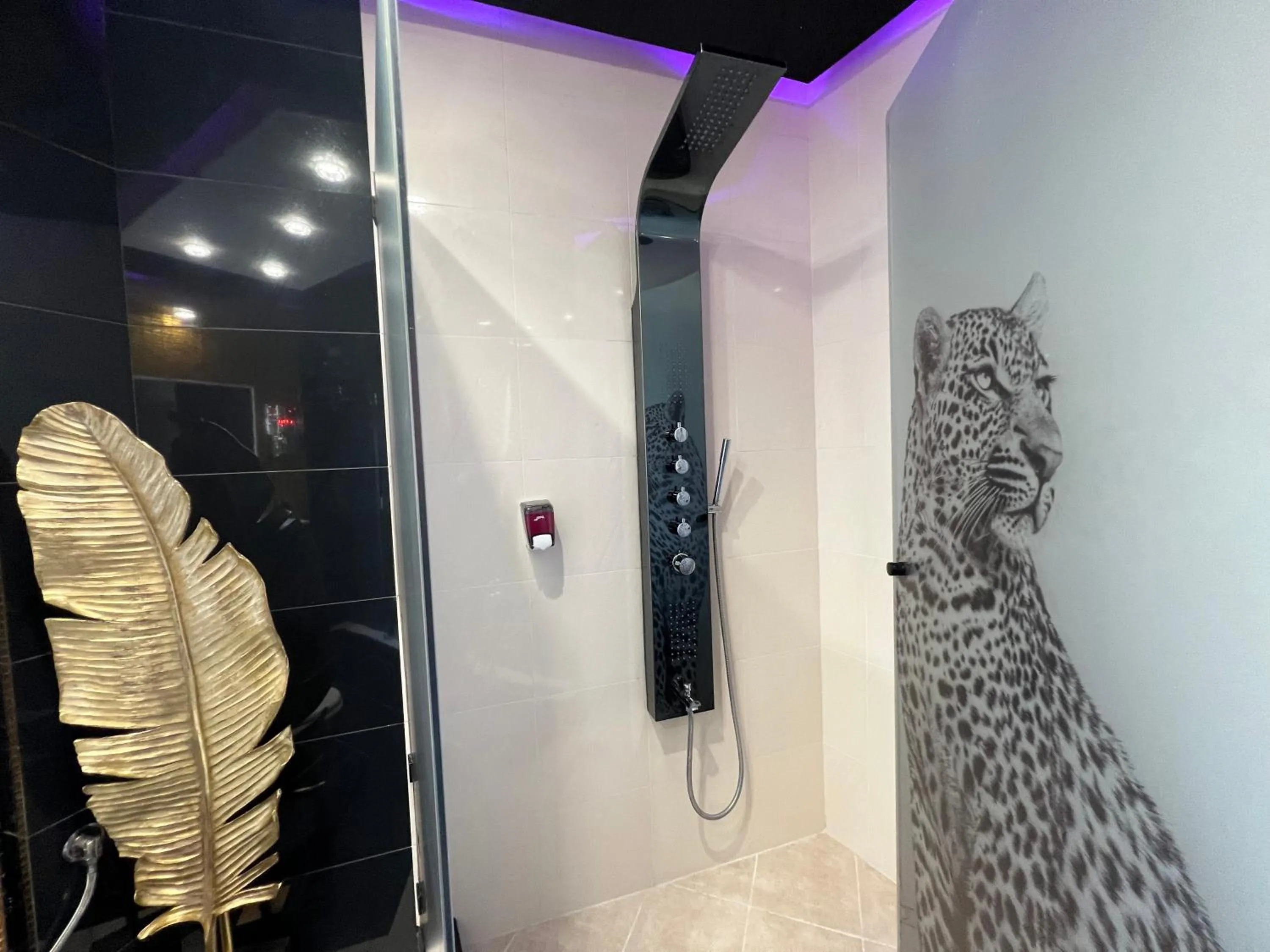 Shower in Xcite Hotel Salem