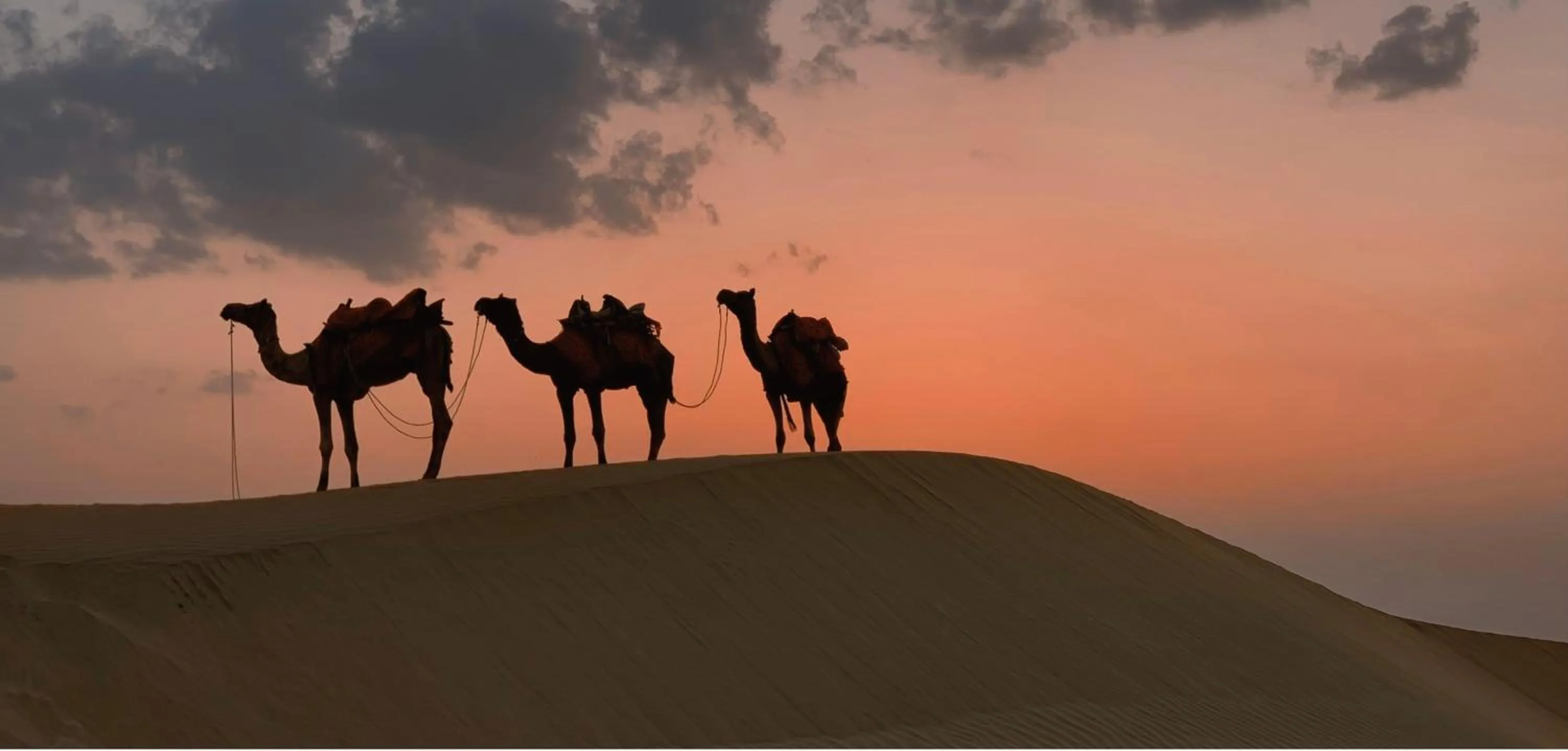 room service in Garh Rajputana camp