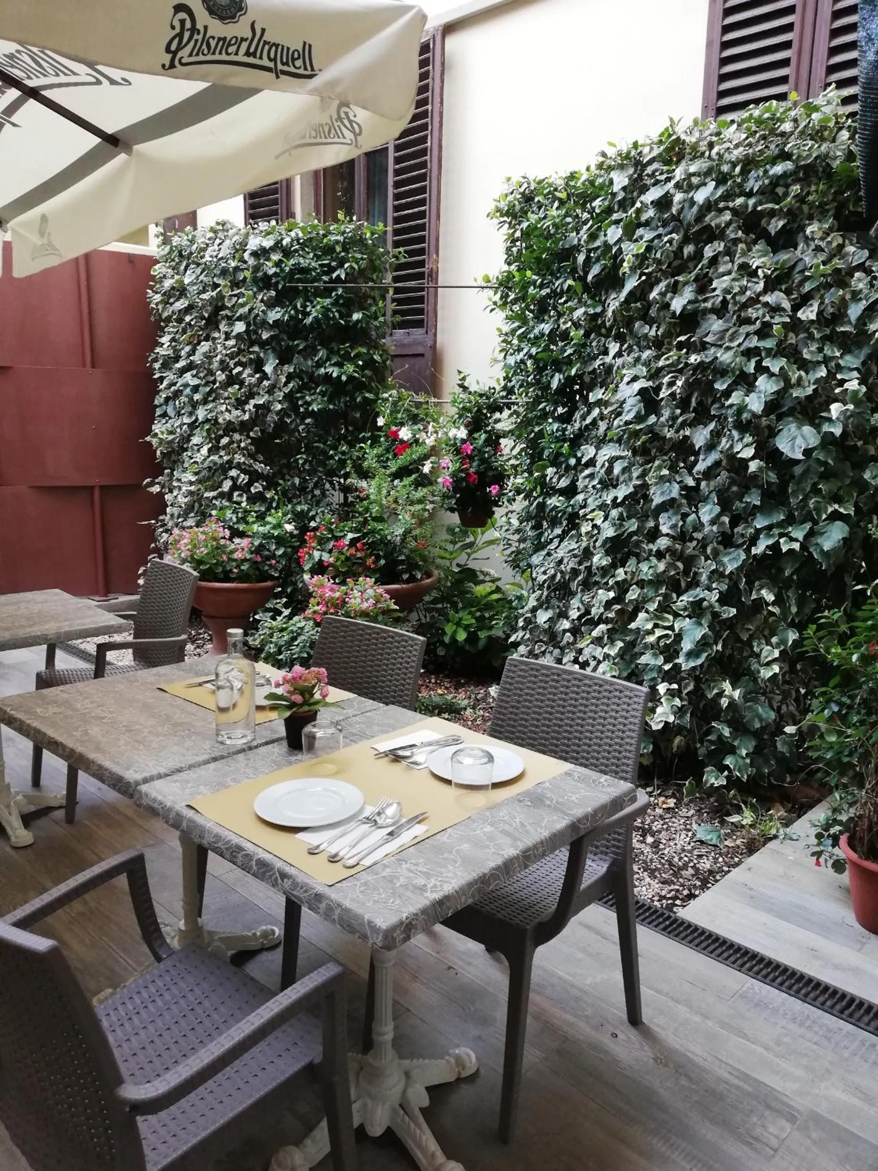 Patio in Hotel Cimabue