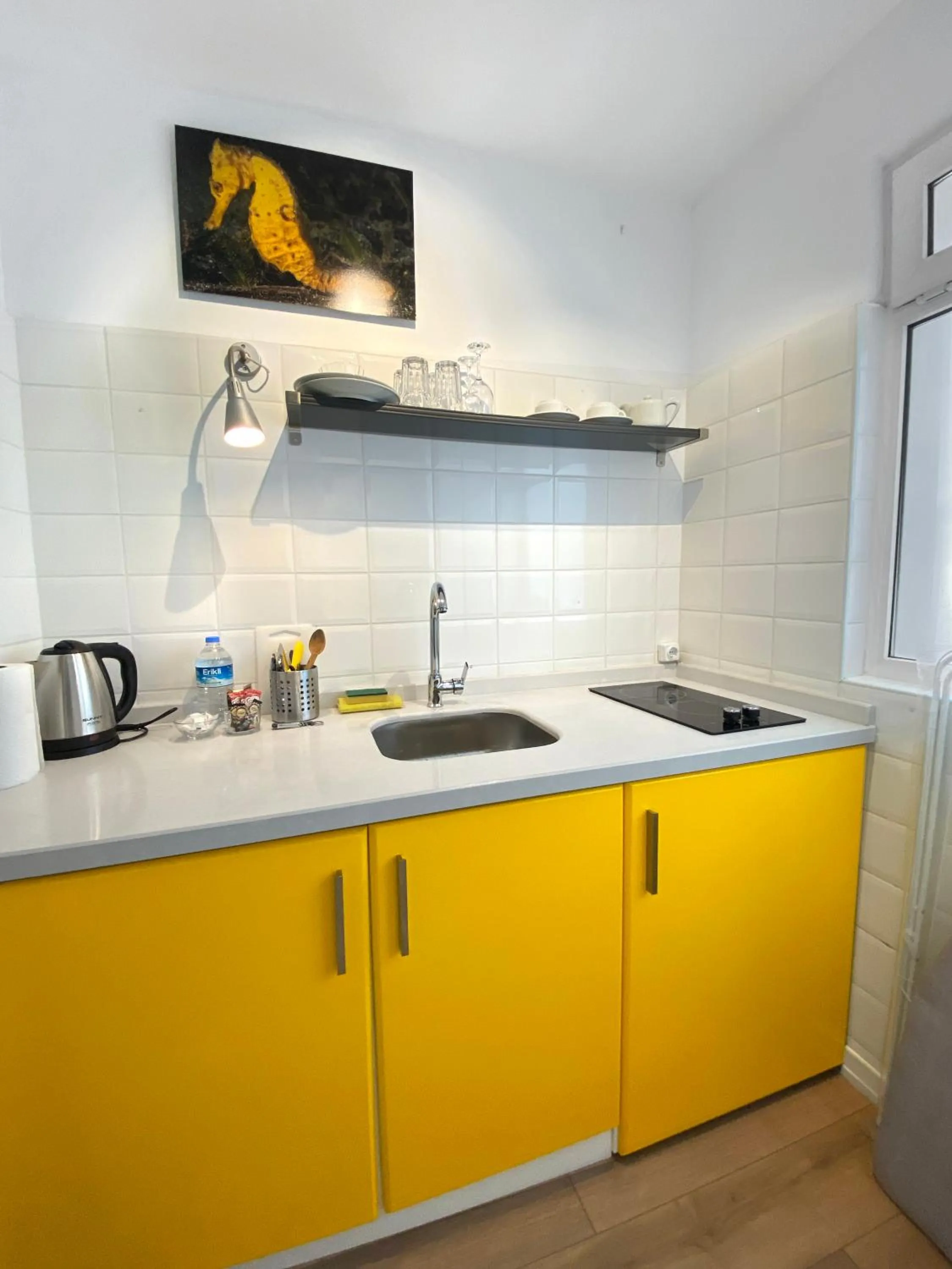 kitchen in Petek Pansiyon Fenerbahce Kadikoy