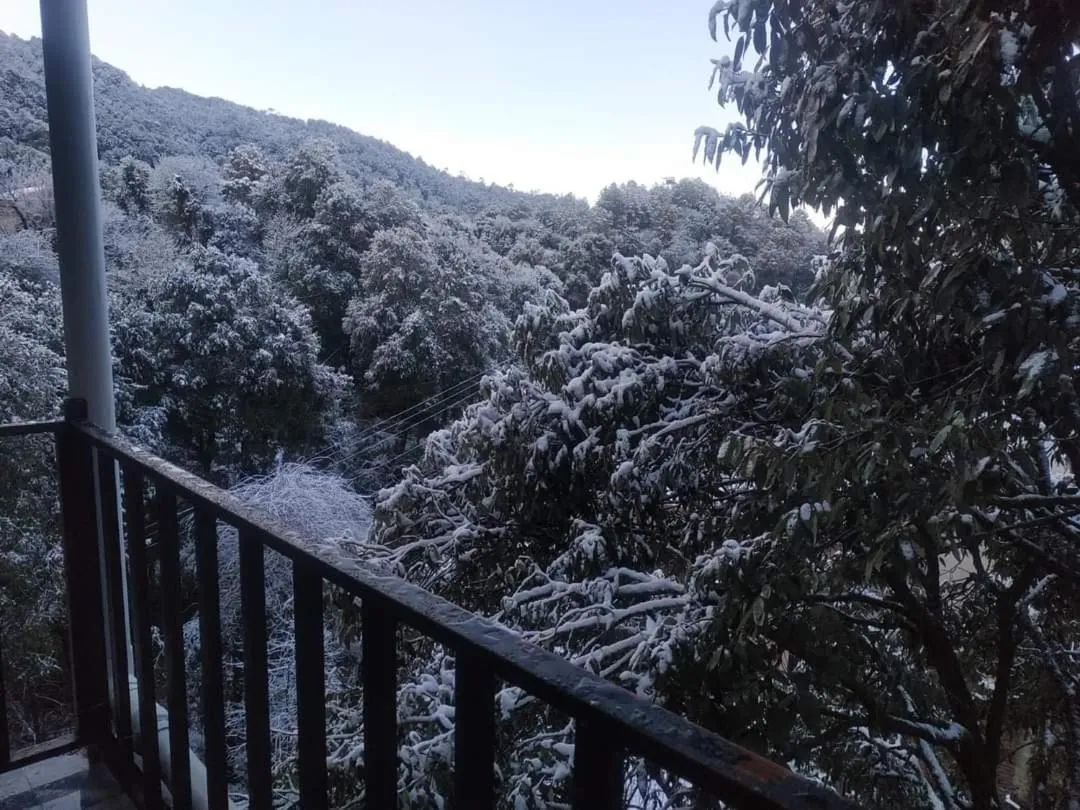 Winter in Oak wood Homestay Banikhet