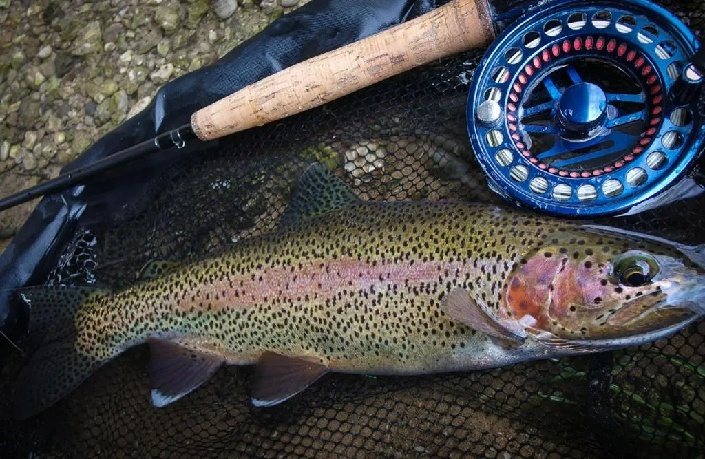 Fishing in Krka River Lodge