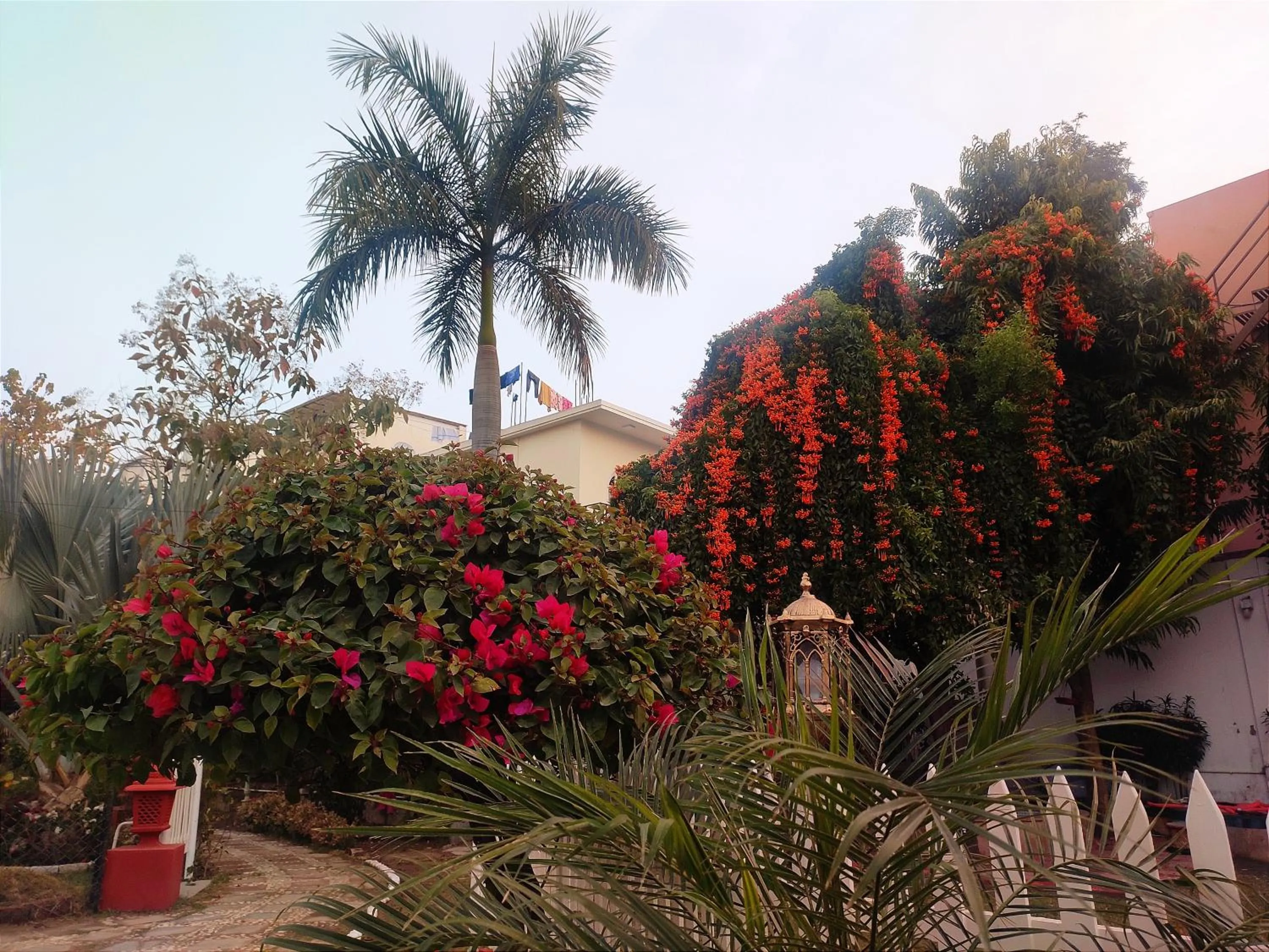 Natural landscape in The Royal Hermitage - Best Luxury Boutique Hotel Jaipur