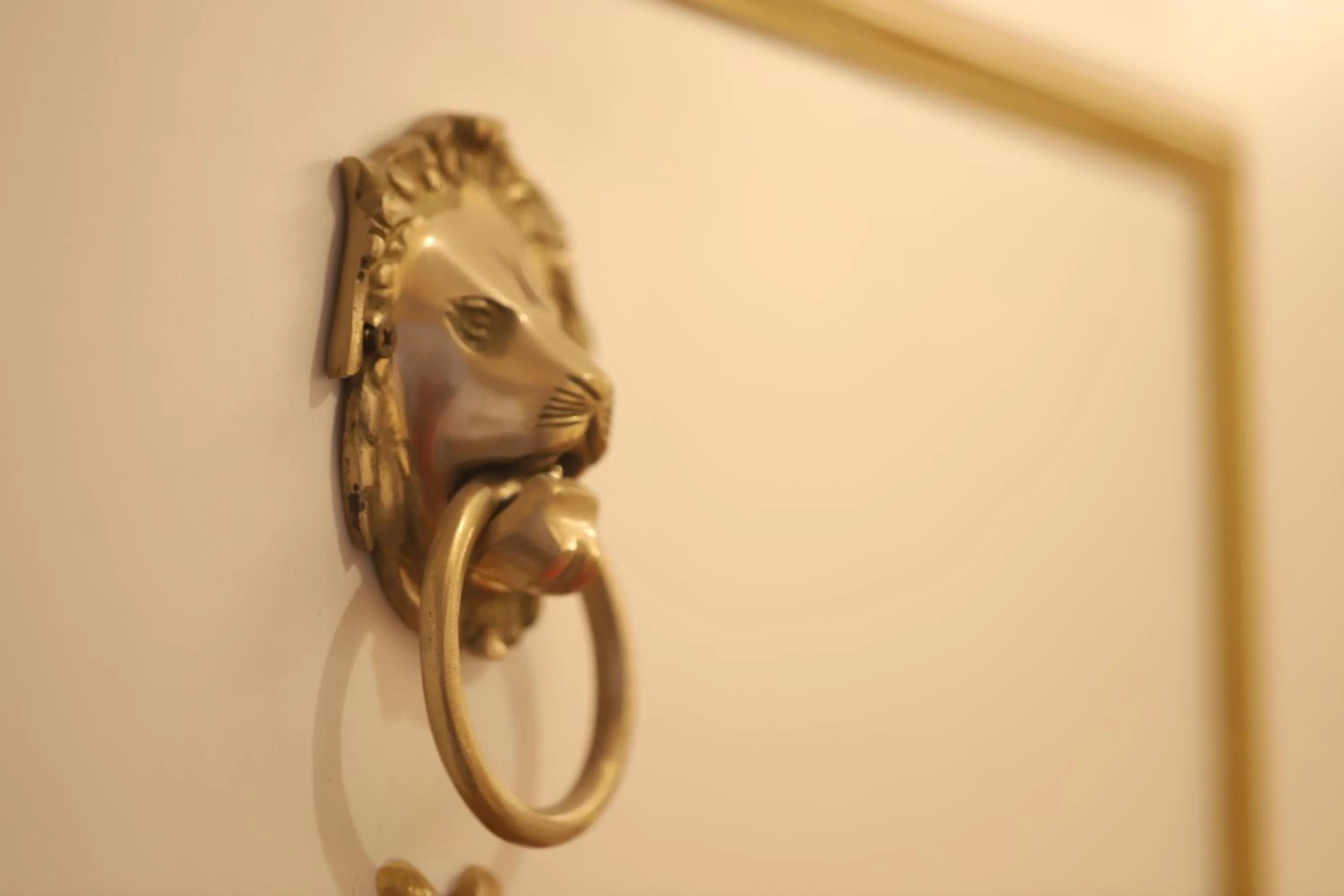 Decorative detail in The Royal Hermitage - Best Luxury Boutique Hotel Jaipur