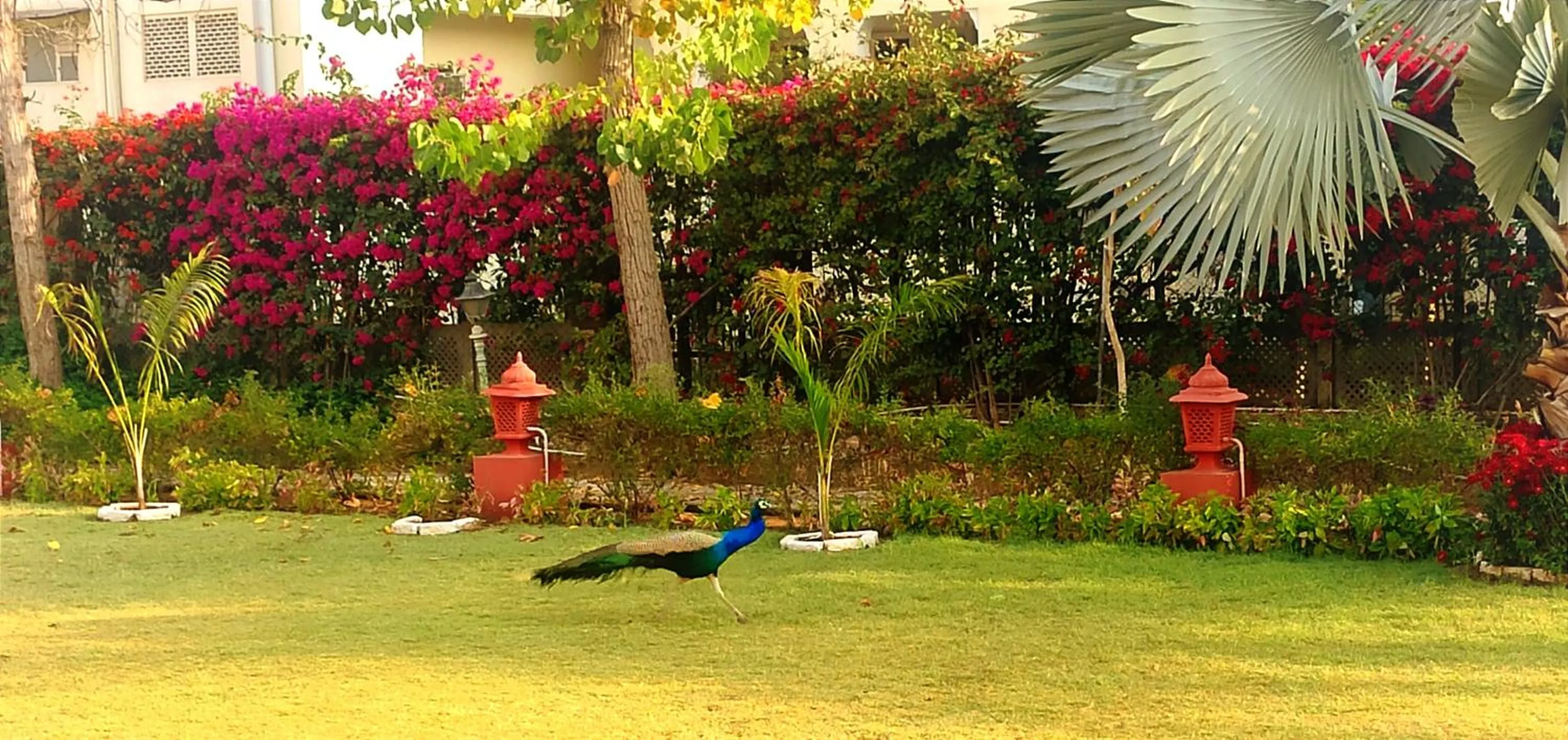 Day in The Royal Hermitage - Best Luxury Boutique Hotel Jaipur