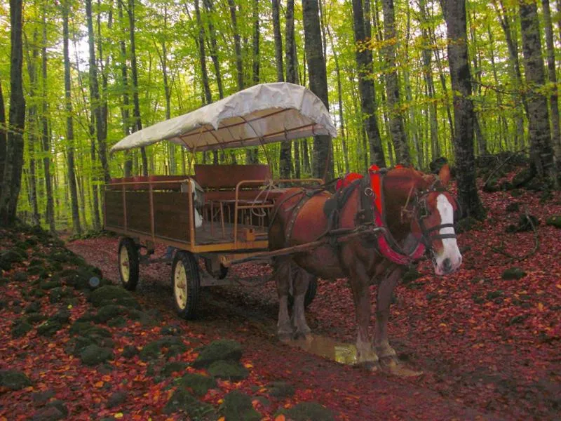 Activities in La Casa dels Poetes