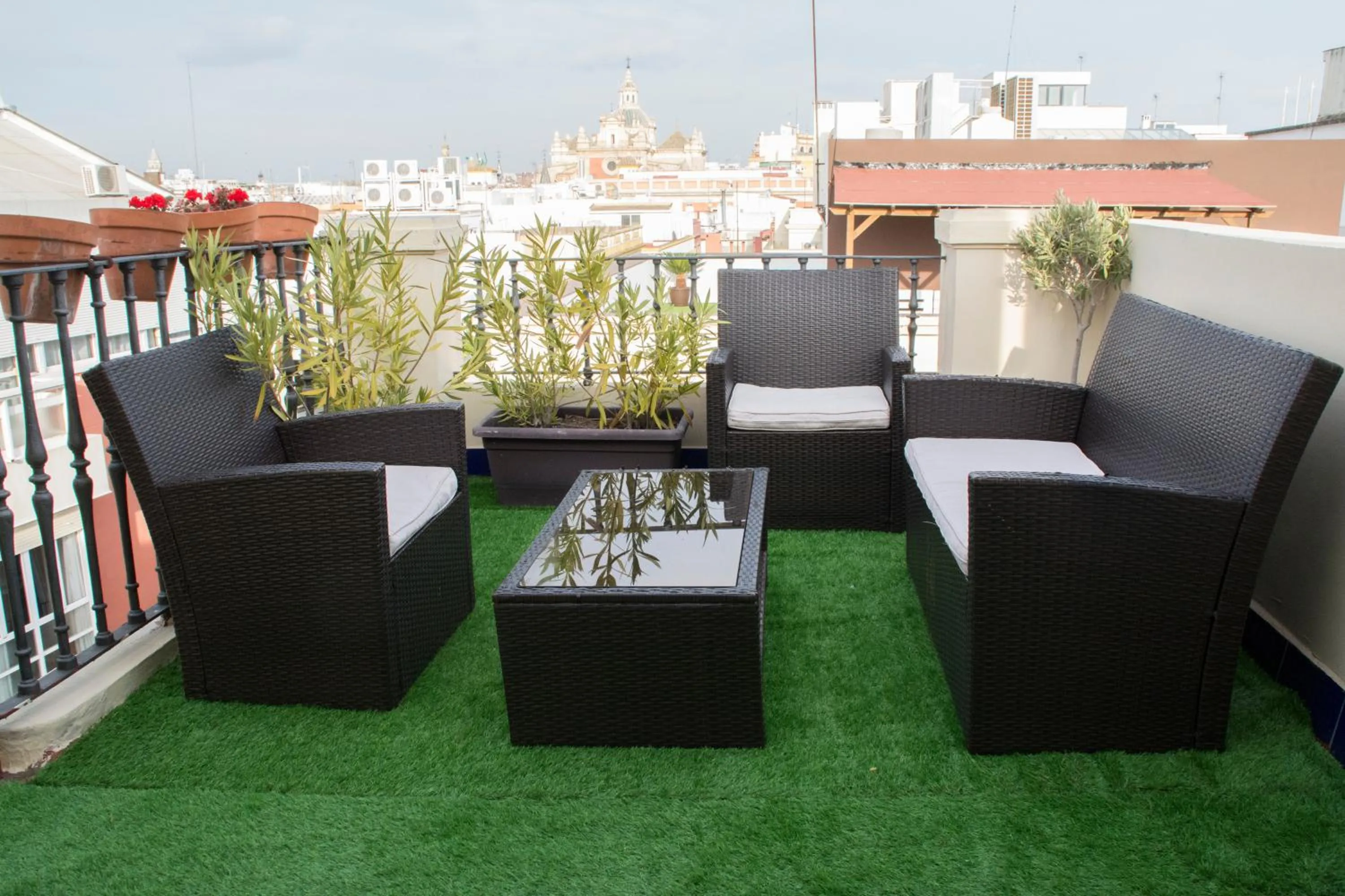 Area and facilities in Hotel Plaza