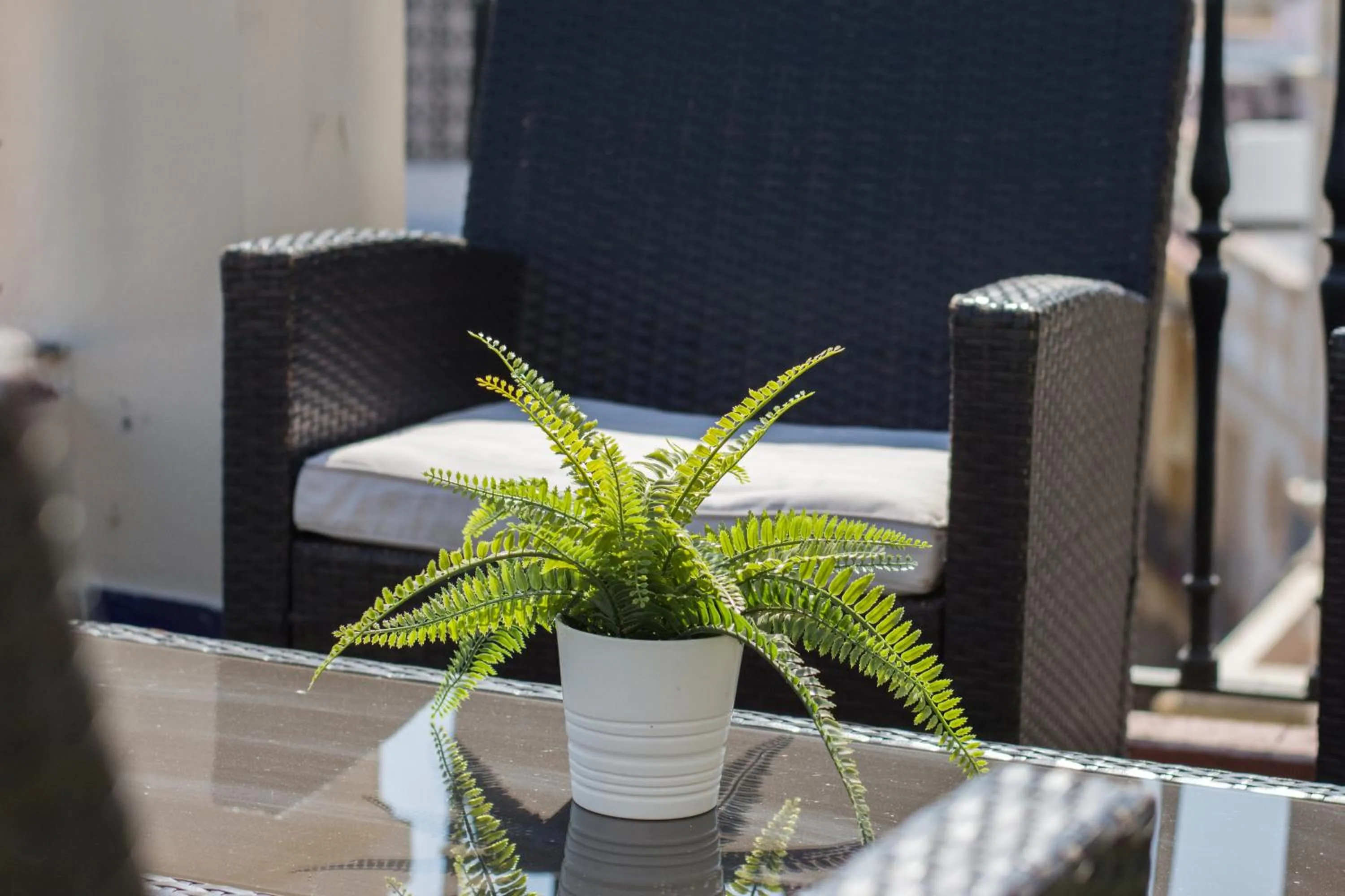 Balcony/Terrace in Hotel Plaza