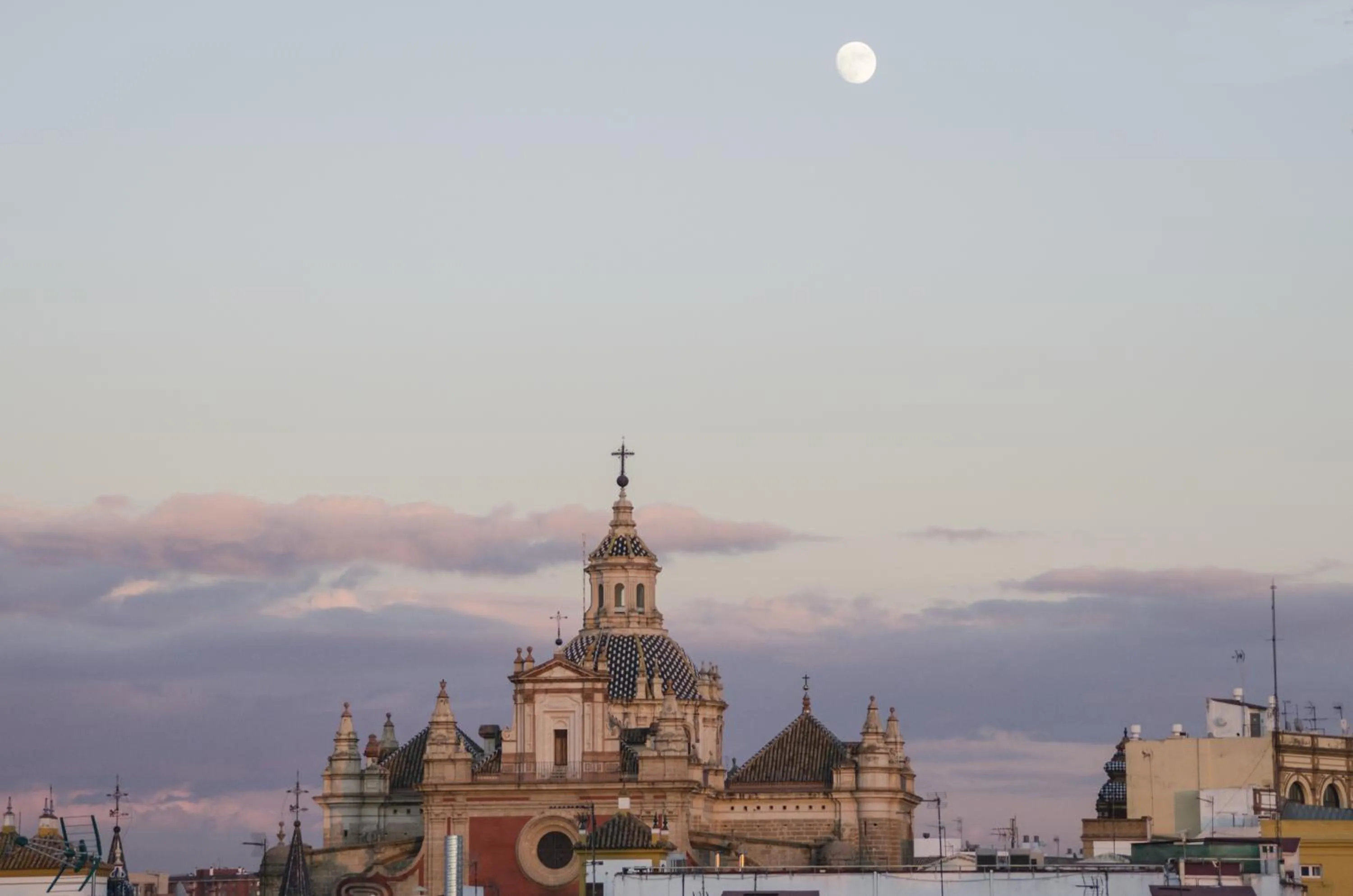 View (from property/room) in Hotel Plaza