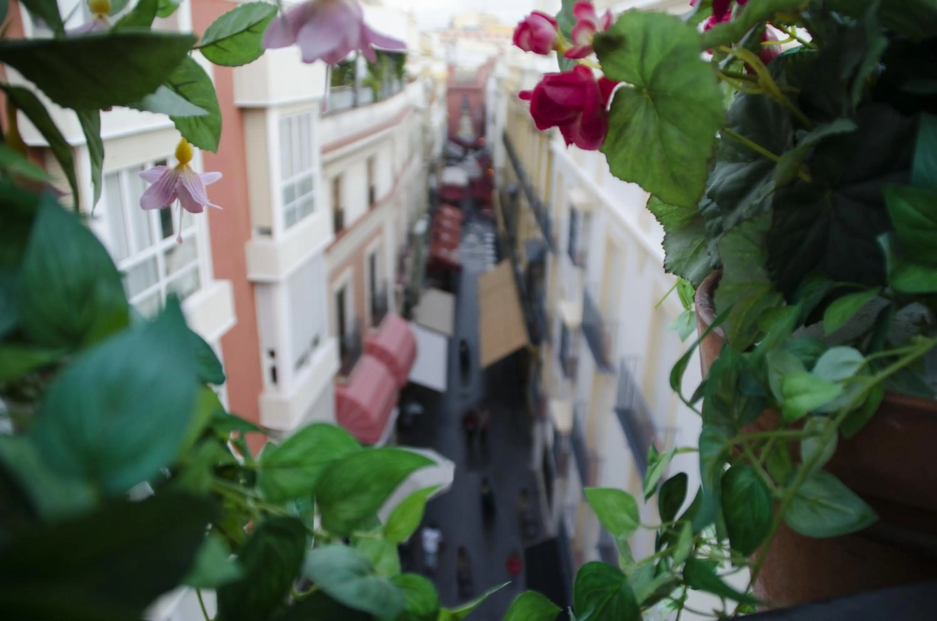 View (from property/room) in Hotel Plaza