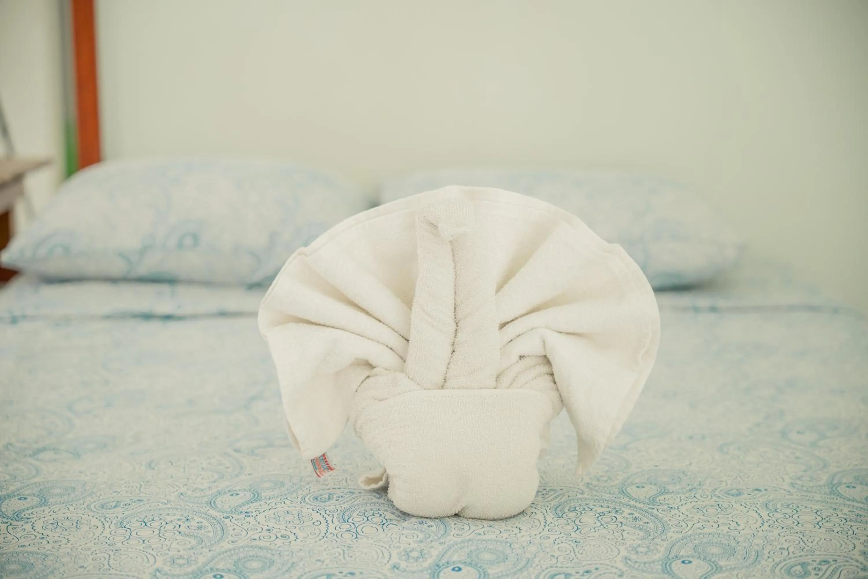 Bed in Hotel Palmarito