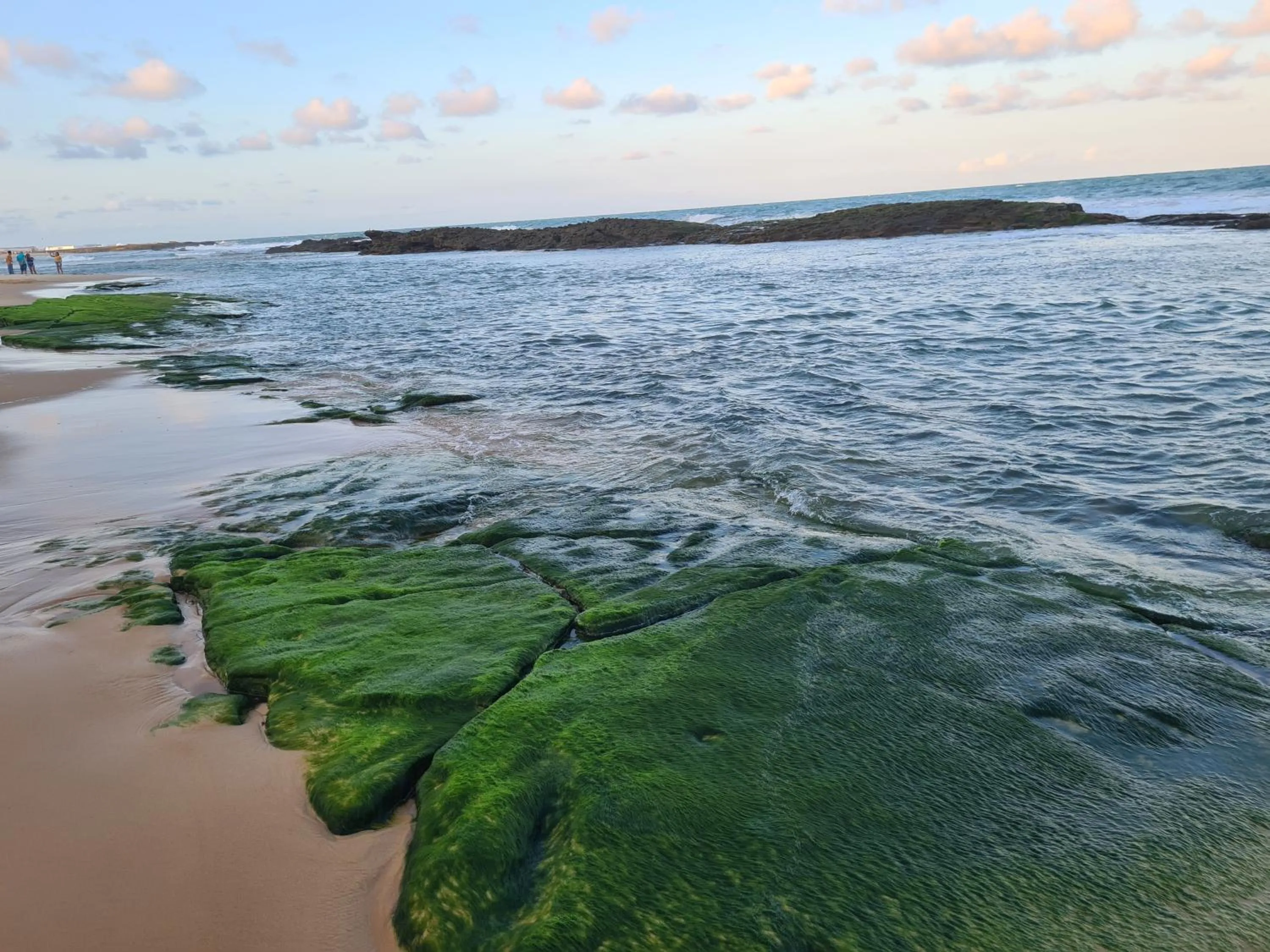 Natural landscape in Hotel Beira Mar