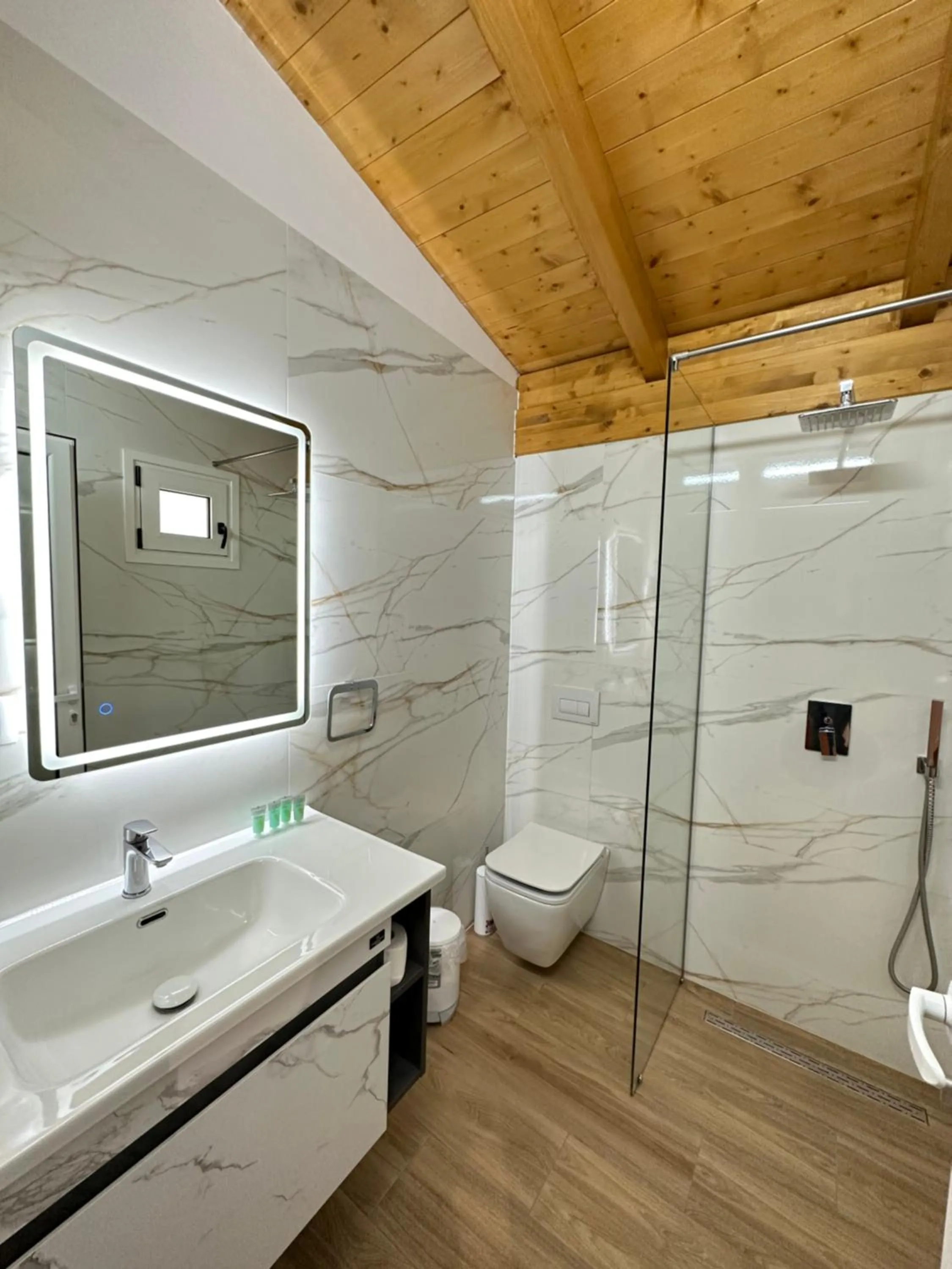 Shower in Arial Penthouse Suites