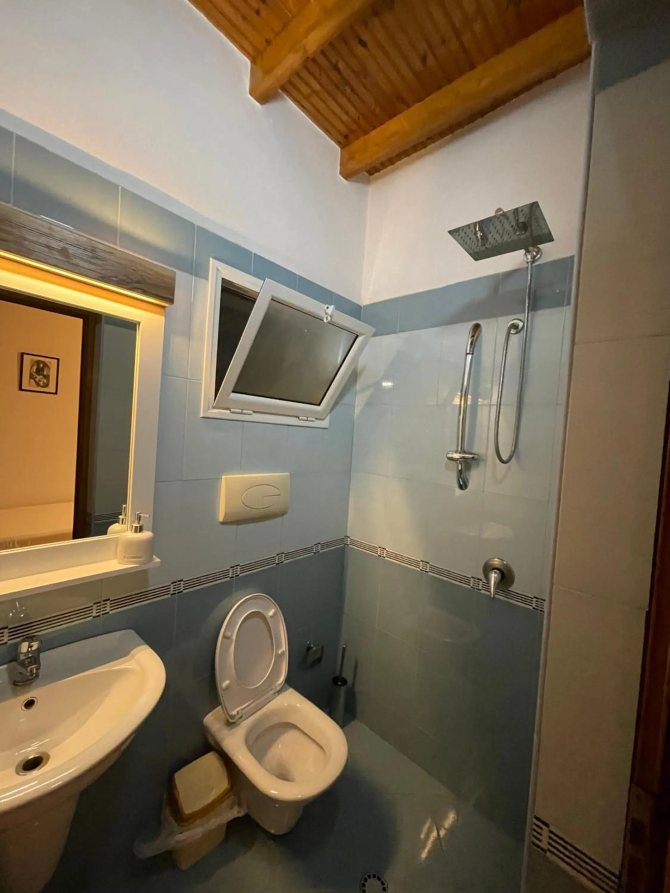 Shower in Arial Penthouse Suites