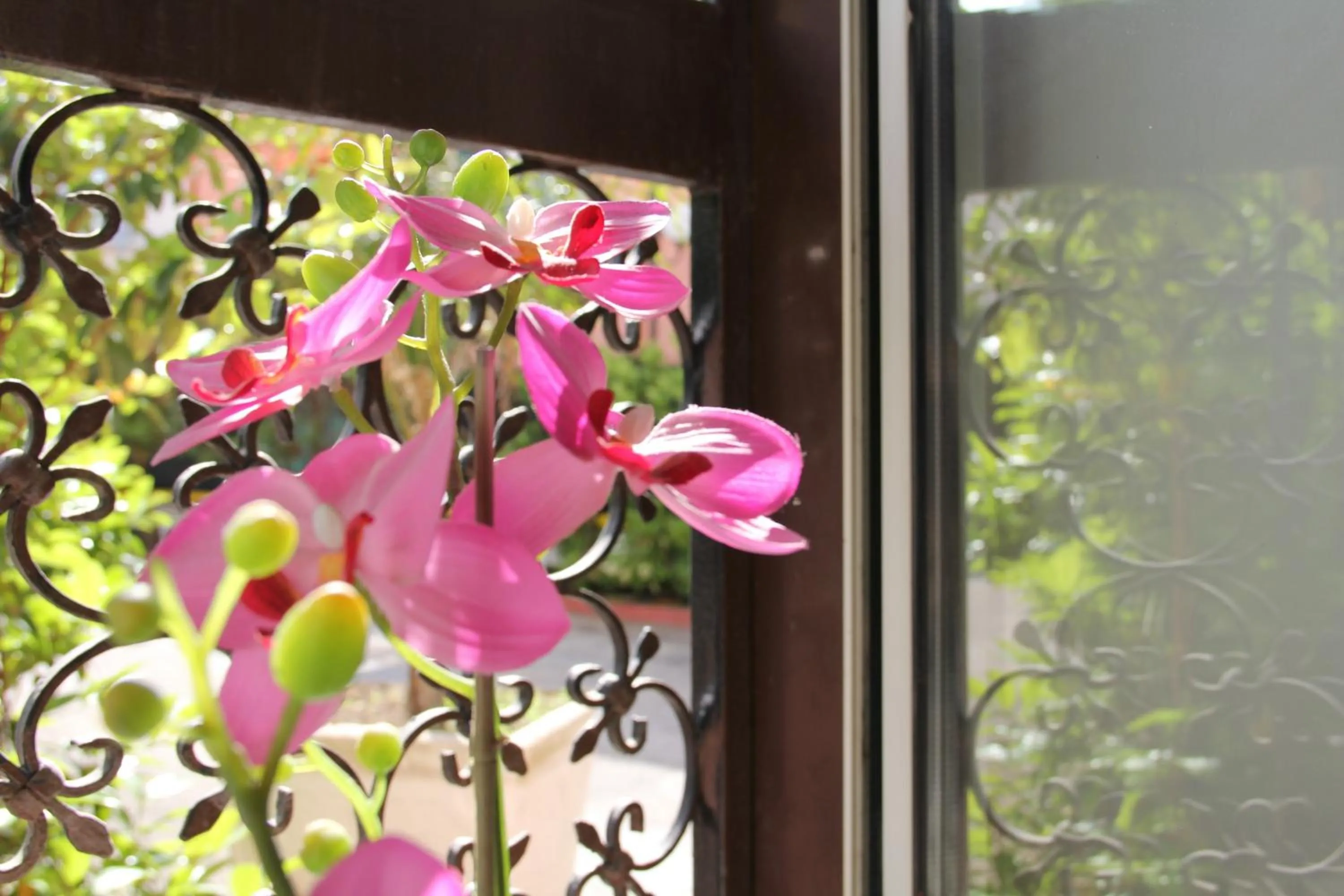 Decorative detail in Hotel Santa Marta
