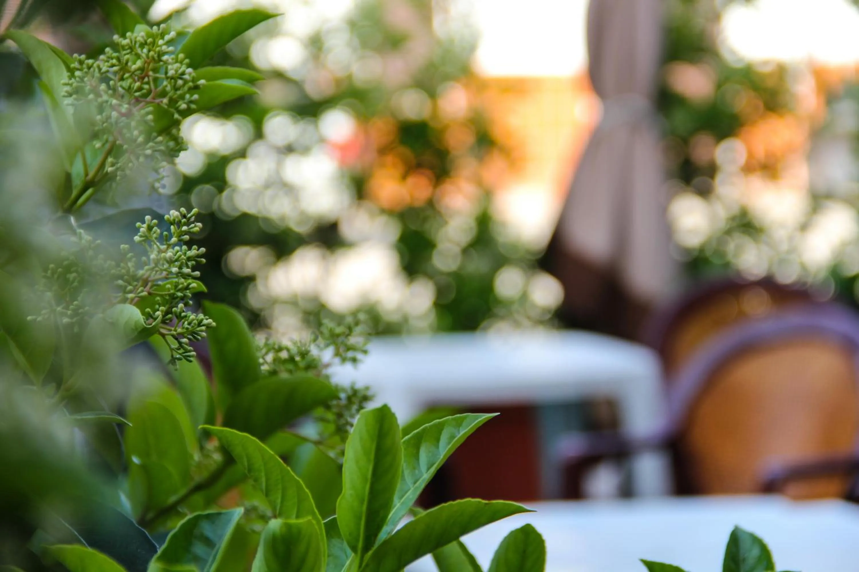 Decorative detail in Hotel Santa Marta