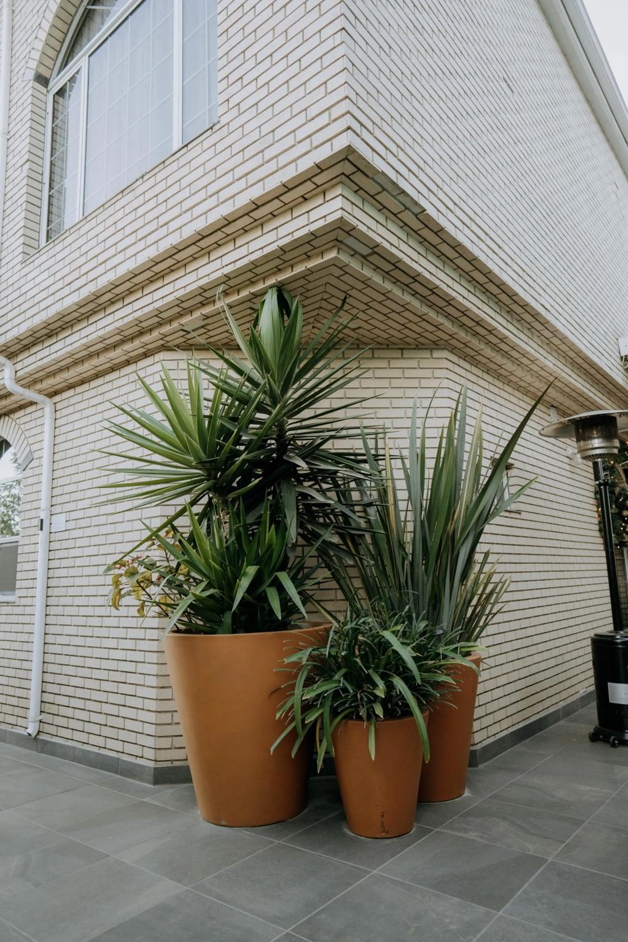 Garden view in Casa Asturias
