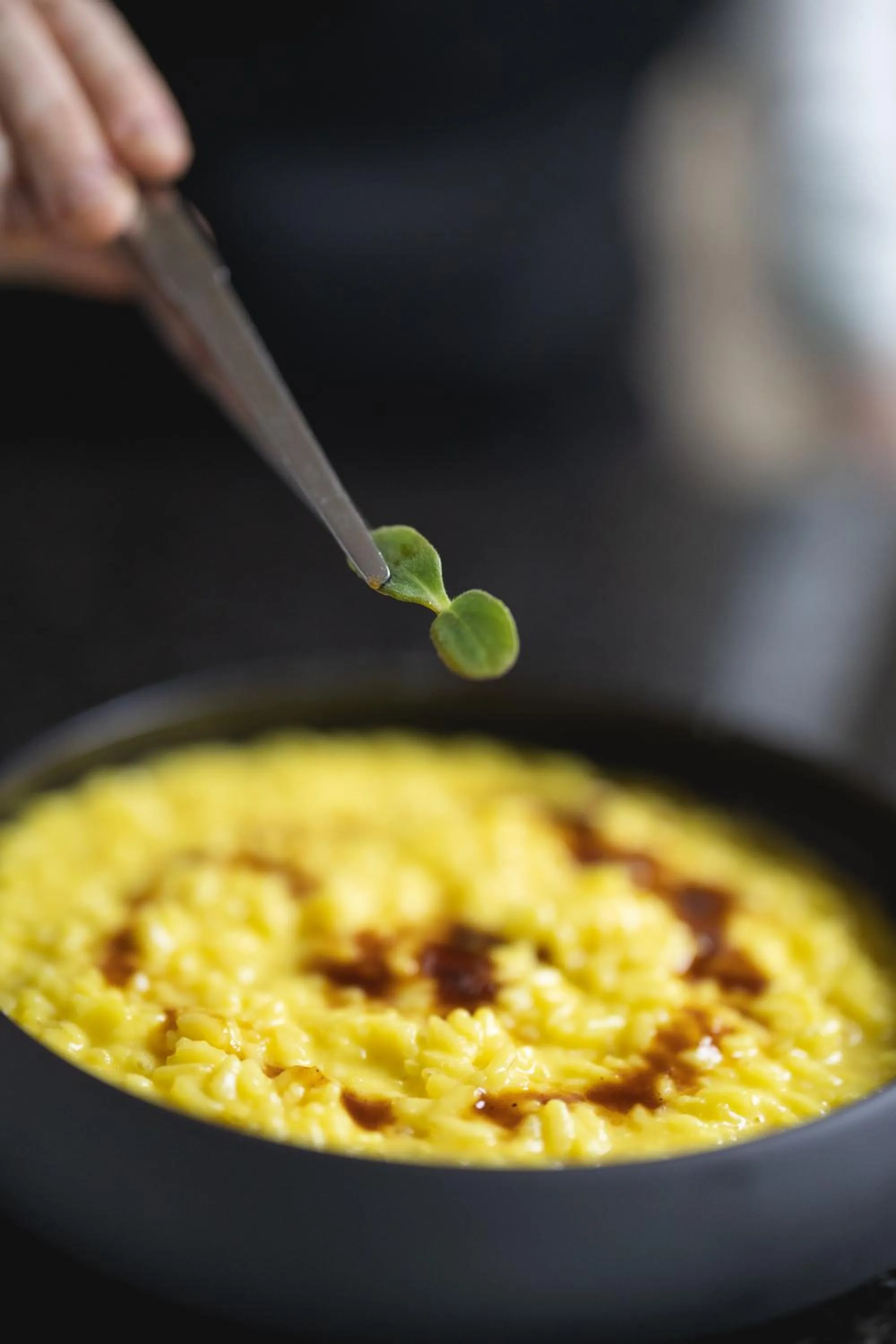 Restaurant/places to eat in UNA Hotels Galles Milano