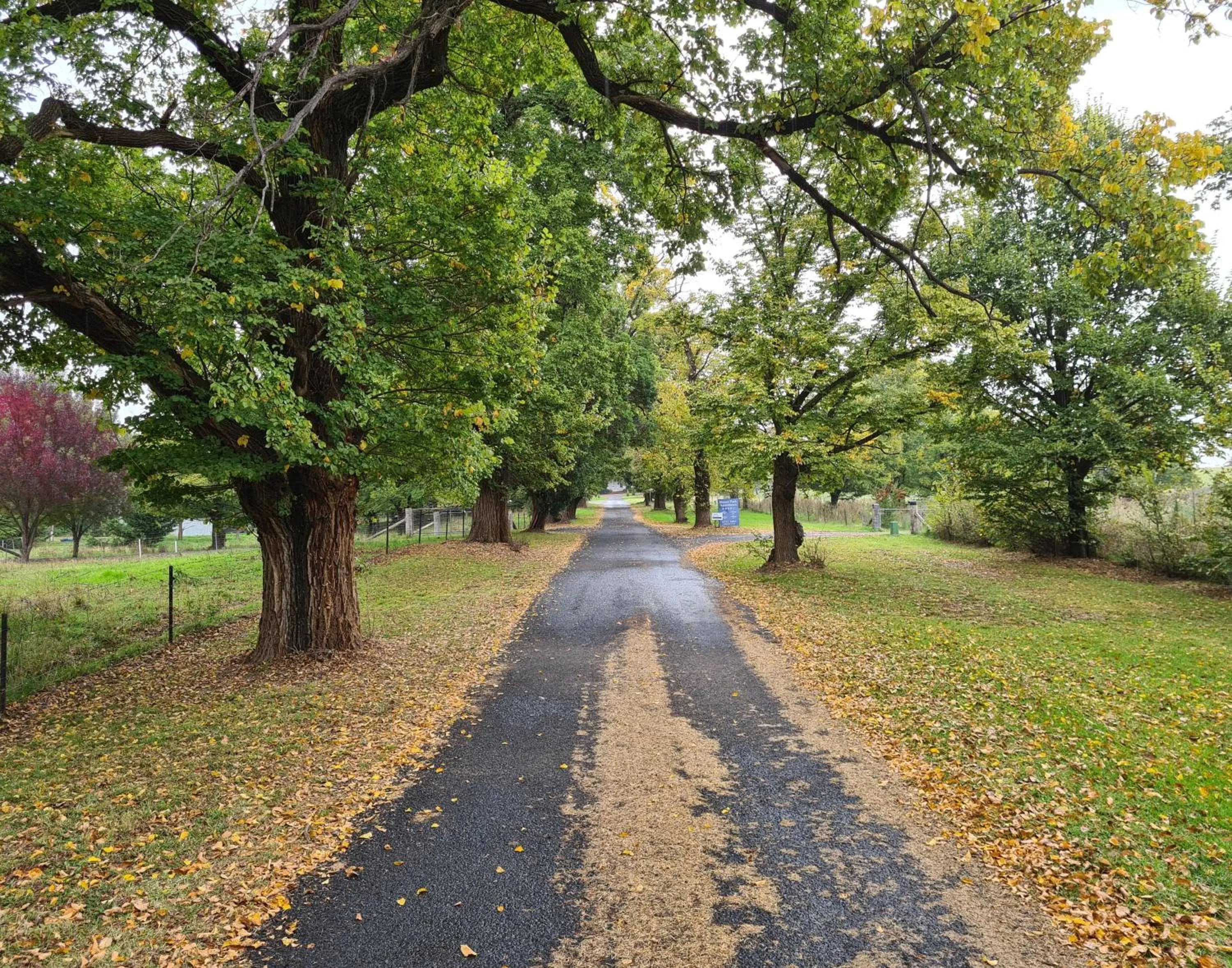 Moore Park Apartments