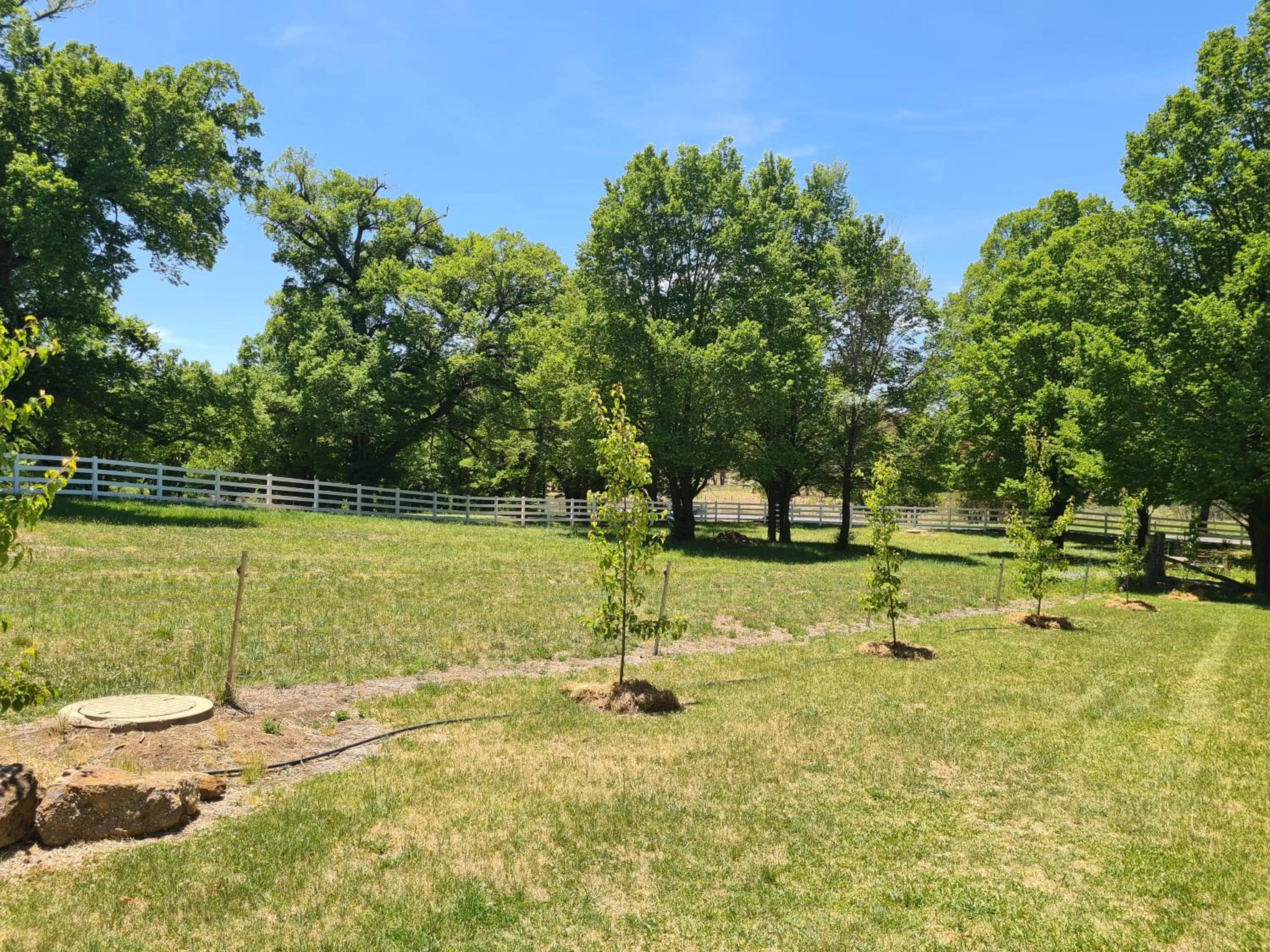 Natural landscape in Moore Park Apartments