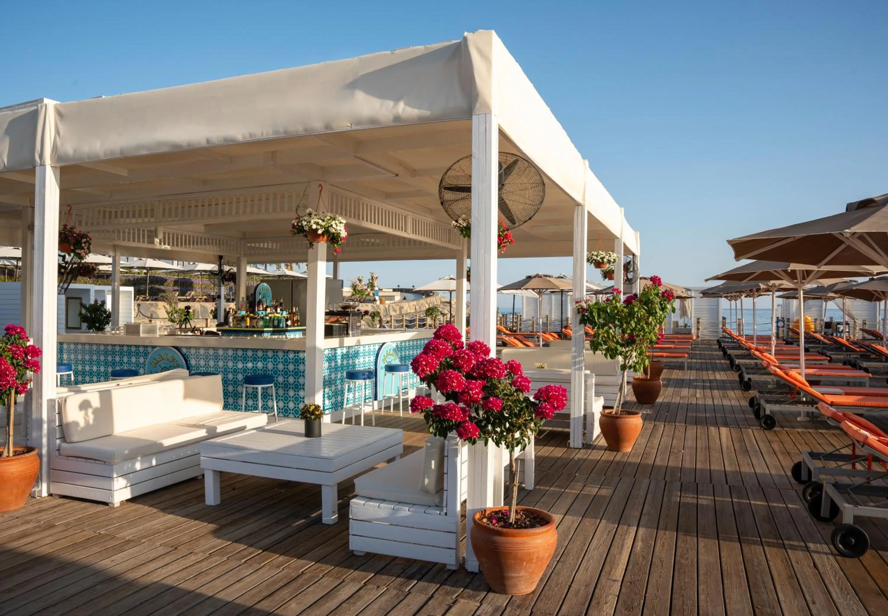 Lounge or bar in Kaya Palazzo Resort & Casino