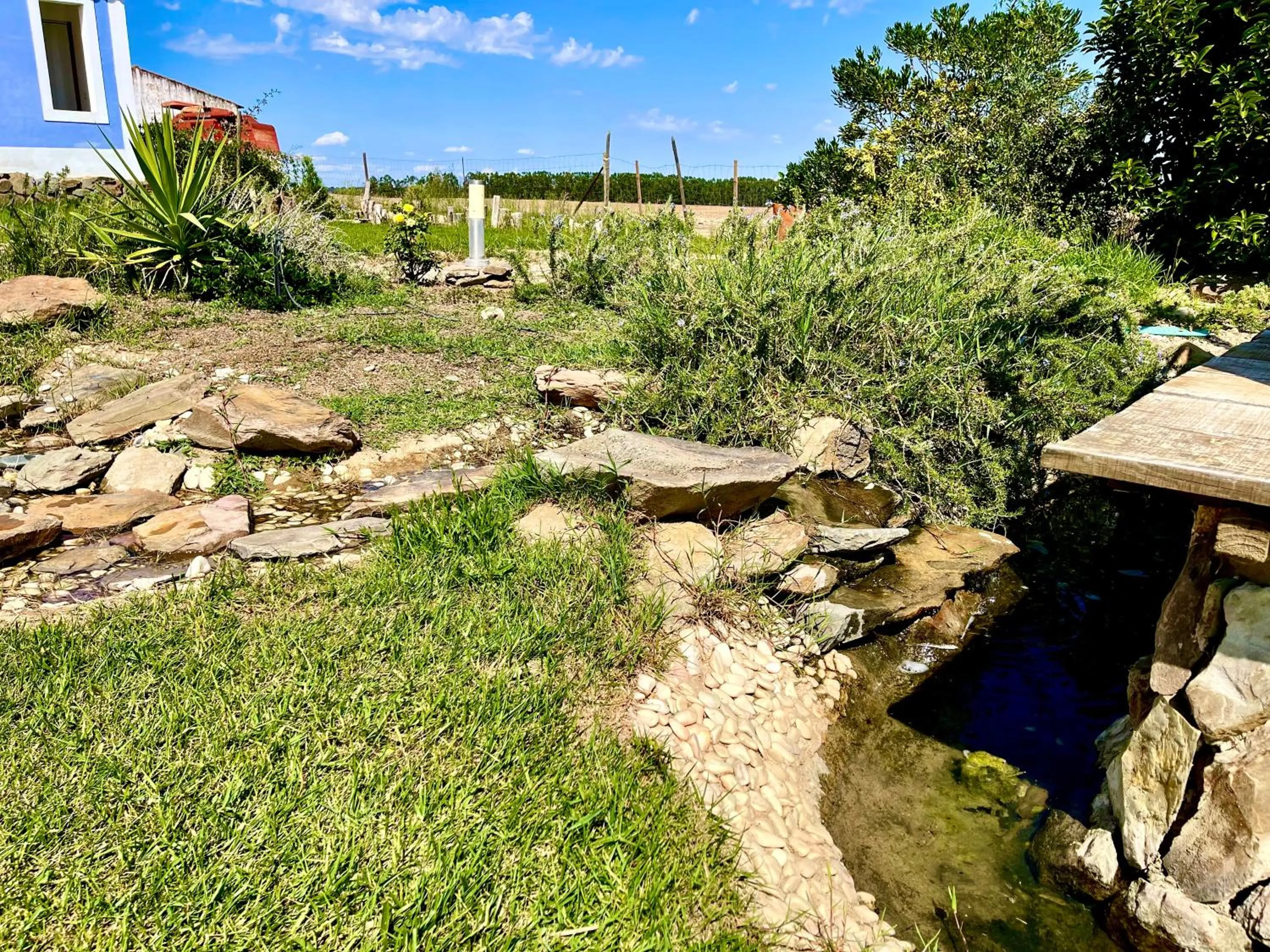 View (from property/room) in Monte dos Poços