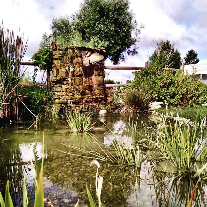 Natural landscape in Monte dos Poços