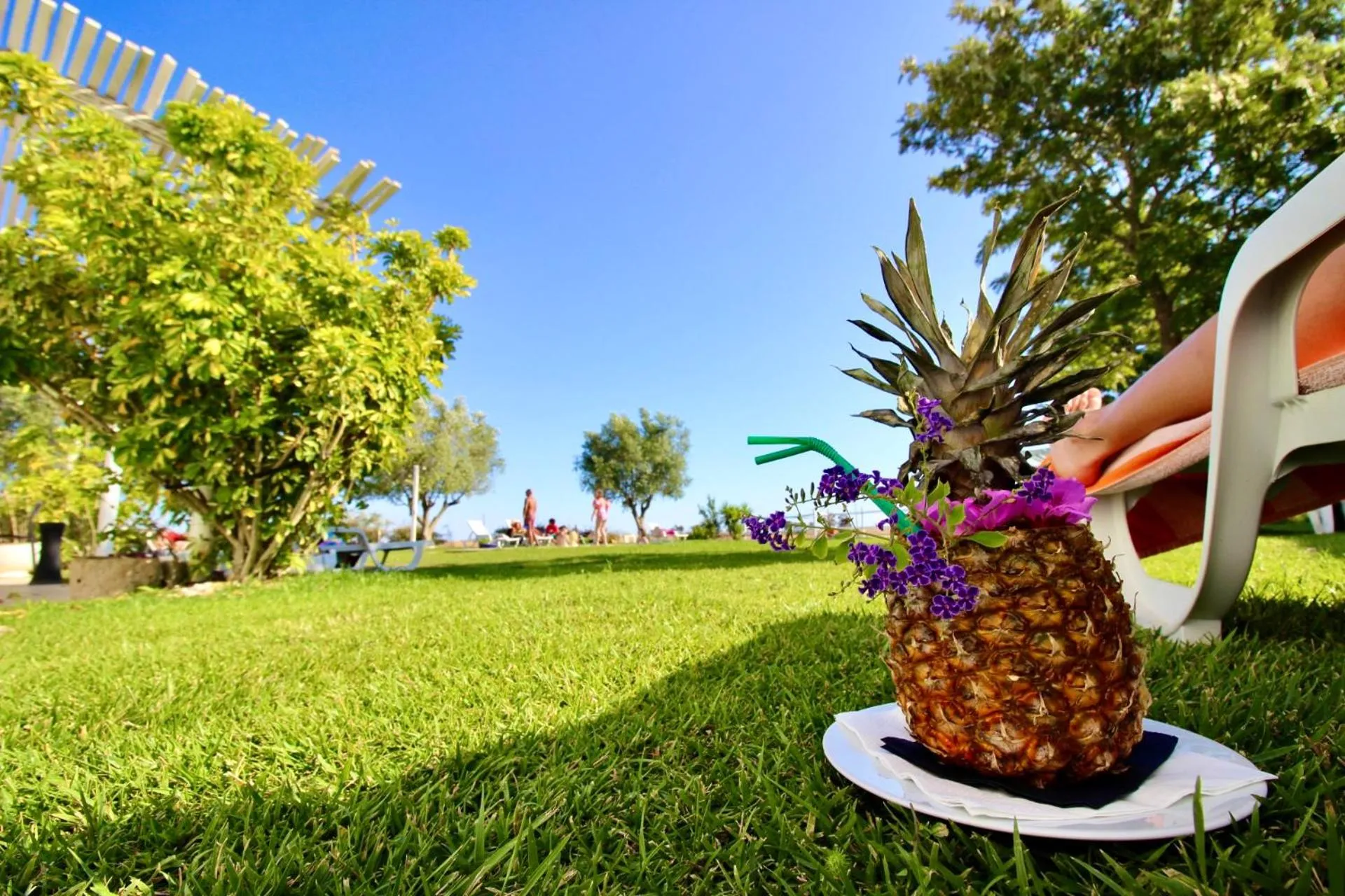 Garden in Monte dos Poços