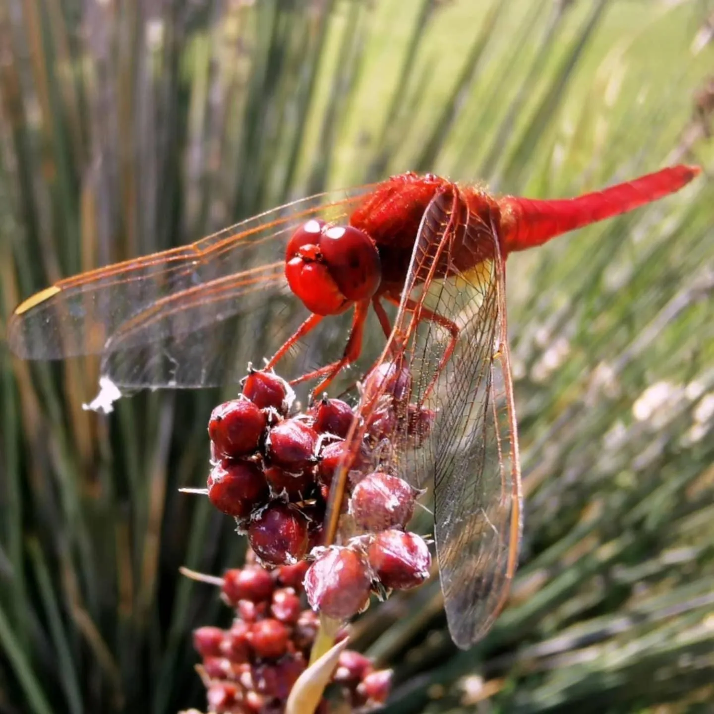 Off site in Monte dos Poços