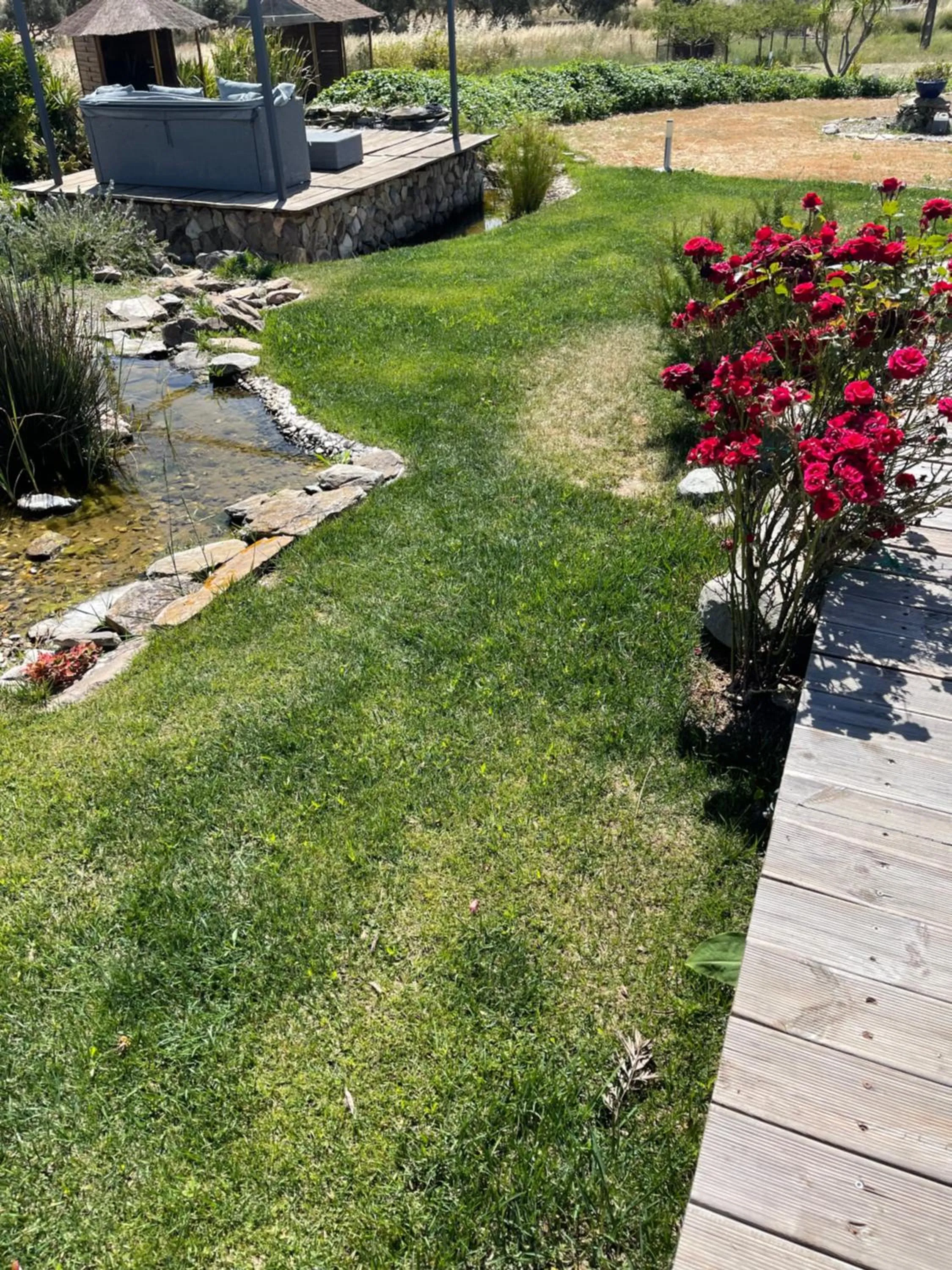 Natural landscape in Monte dos Poços