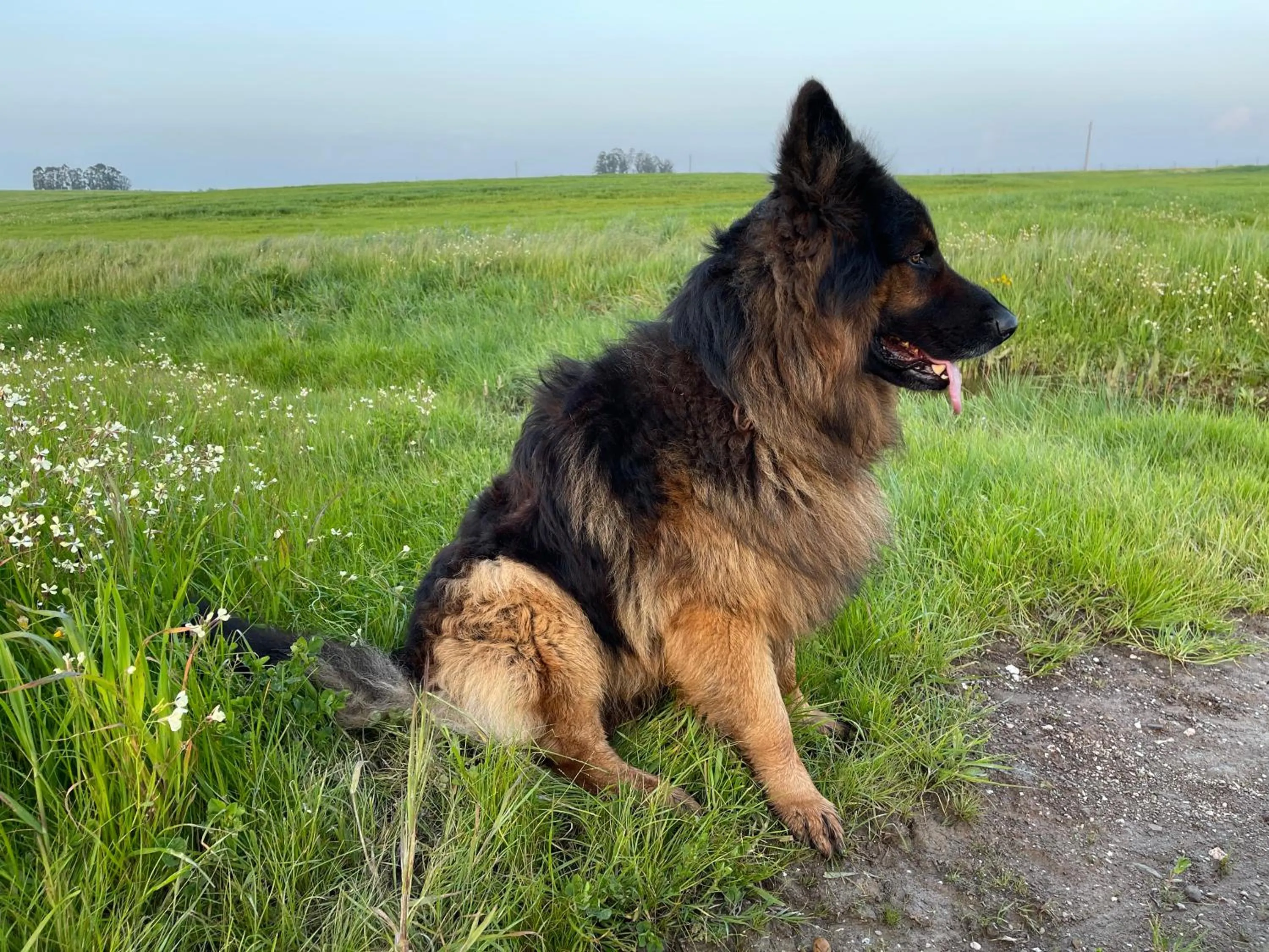 Natural landscape in Monte dos Poços