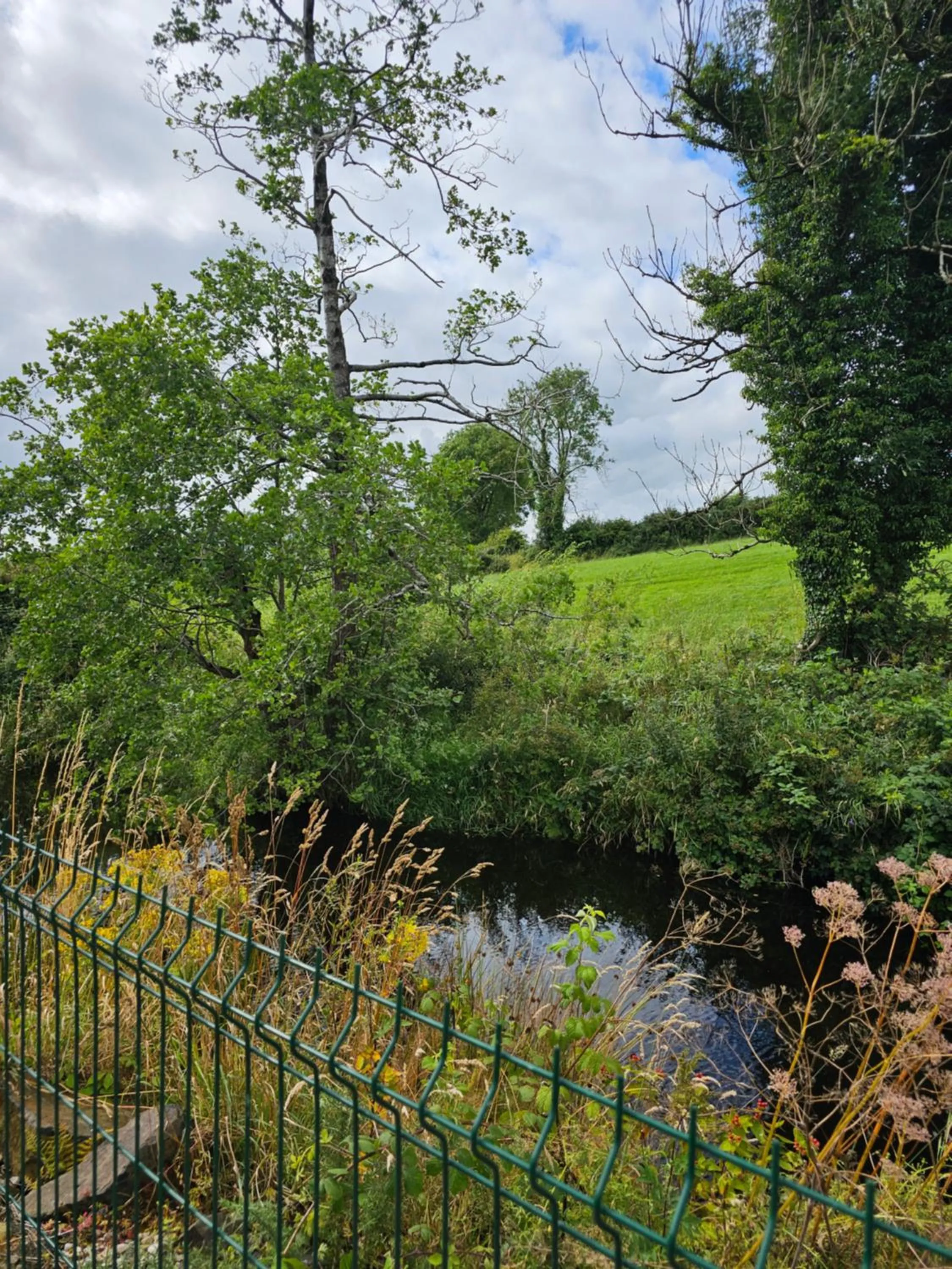 Walsh's Mill Lodges & Linen House