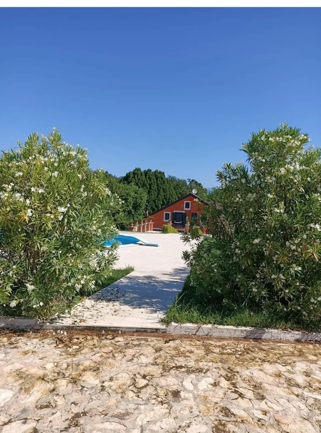 Swimming pool in Villa Annamaria