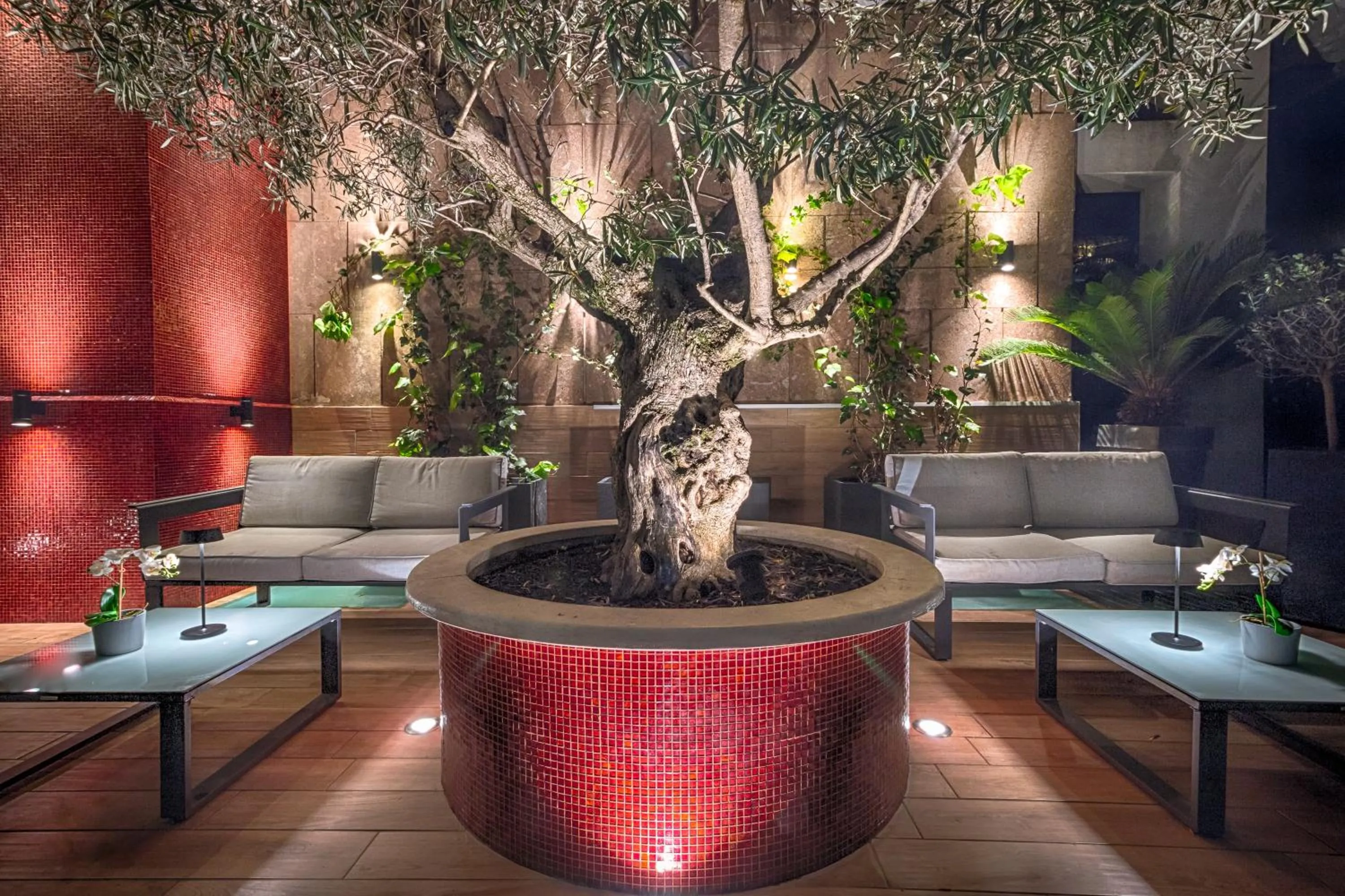 Patio in Hotel Raganelli